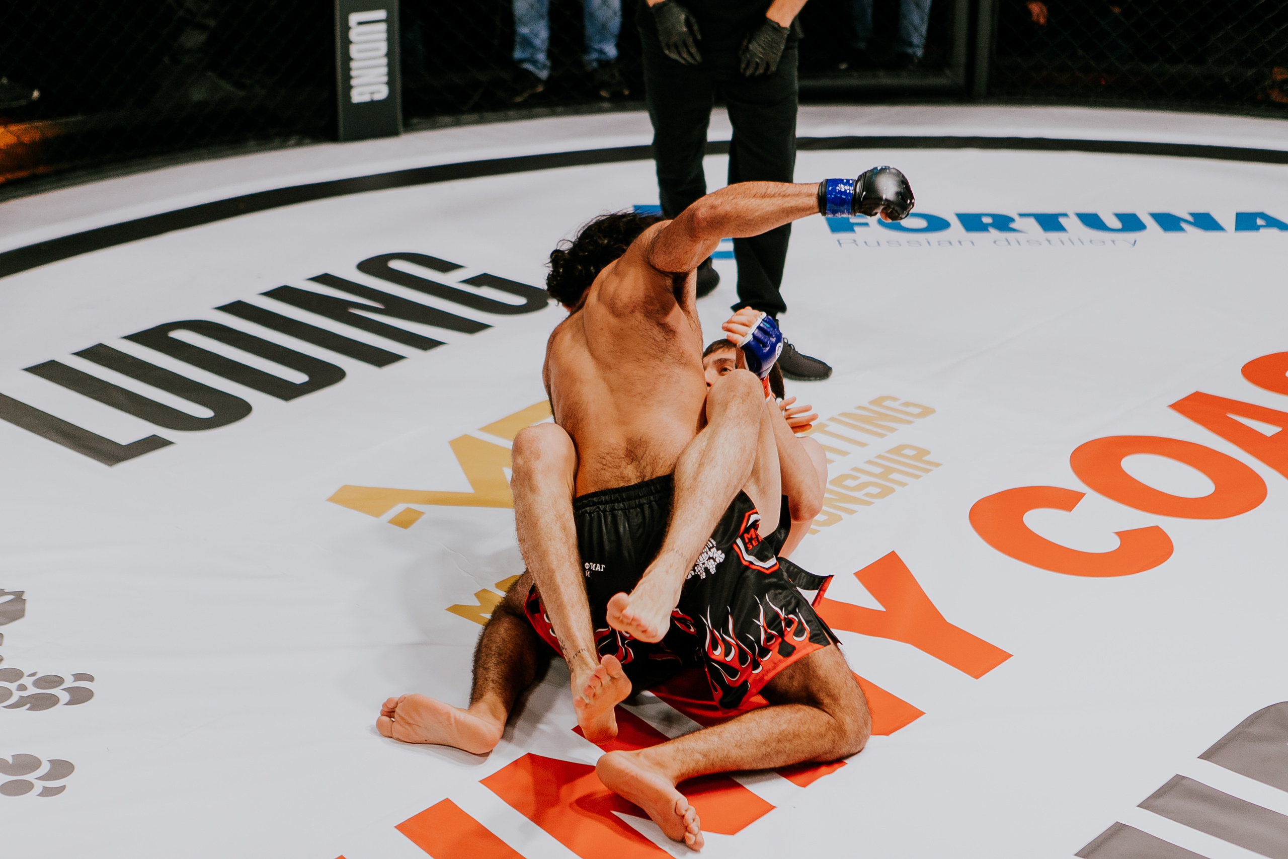 MMA SERIES 56. Репортажный фотограф в Сочи Дмитрий Ветринский