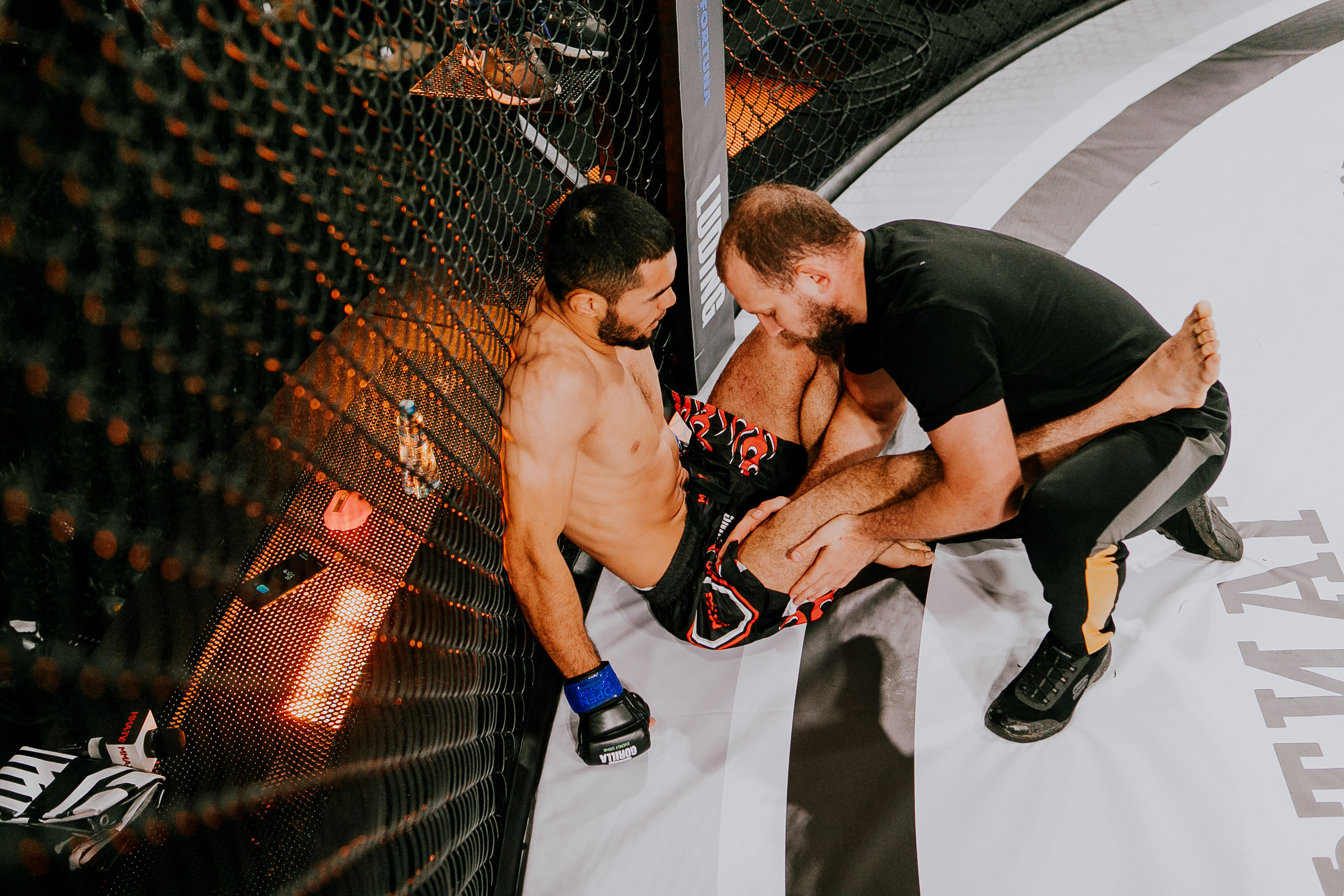 MMA SERIES 56. Репортажный фотограф в Сочи Дмитрий Ветринский