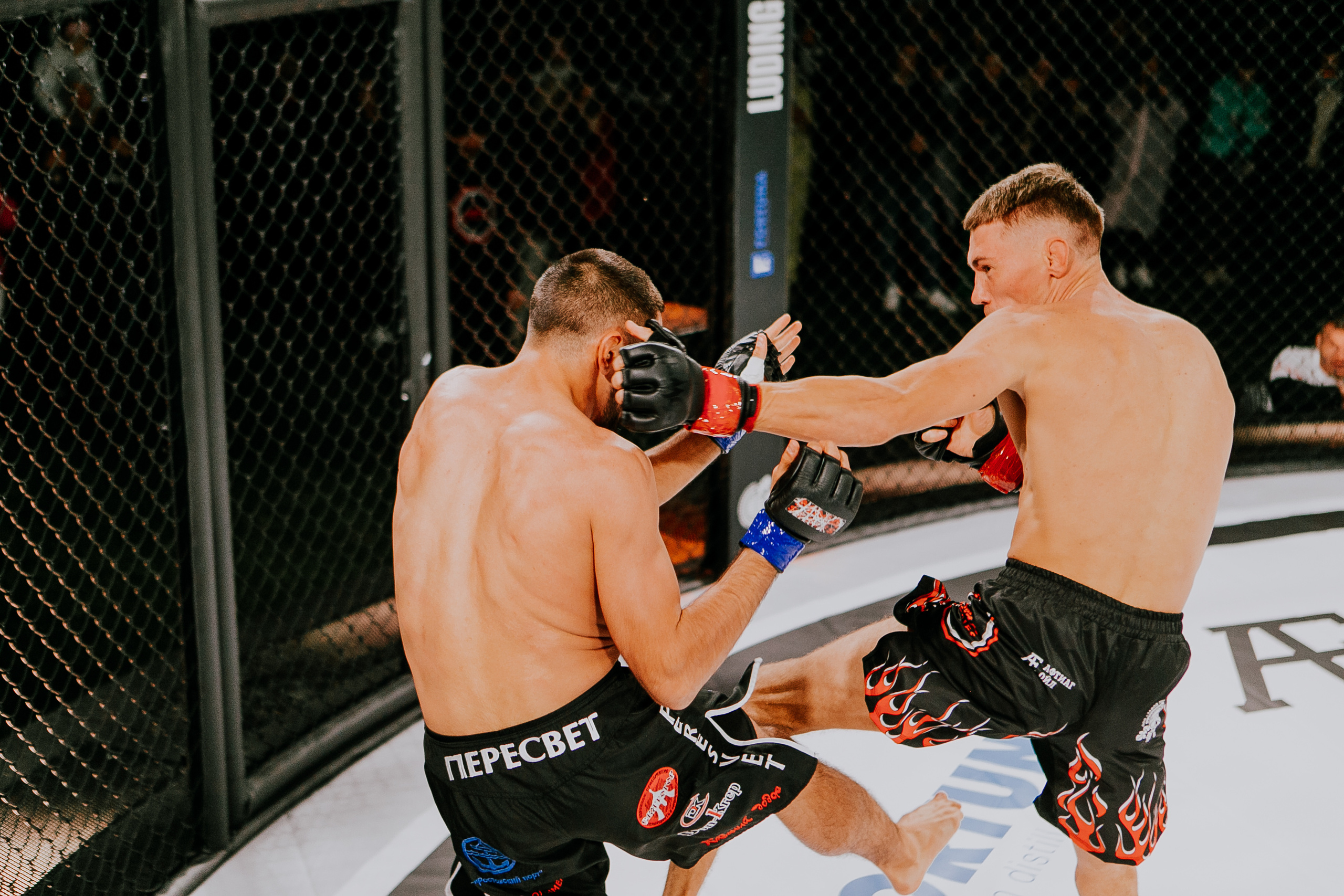 MMA SERIES 56. Репортажный фотограф в Сочи Дмитрий Ветринский