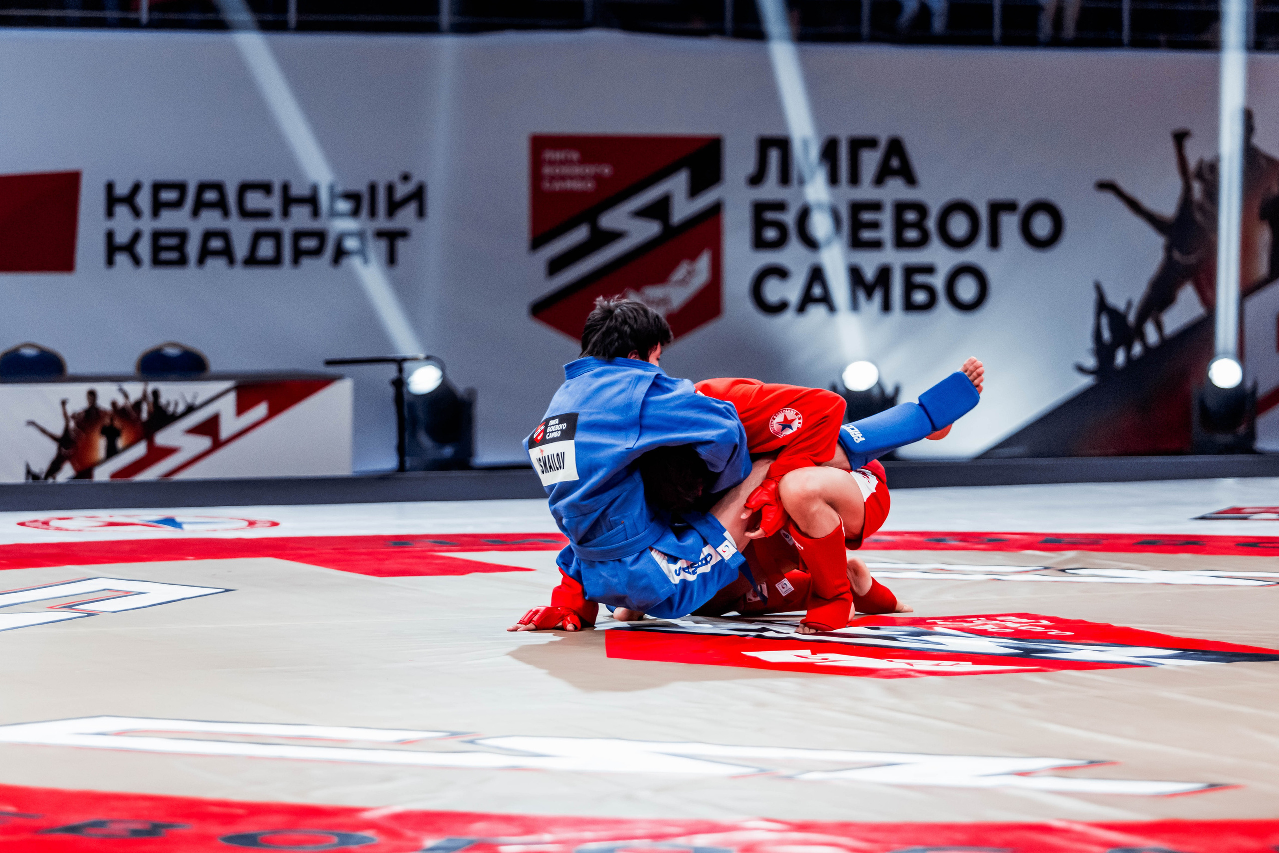 Лига Боевого Самбо. Репортажный фотограф в Сочи Дмитрий Ветринский