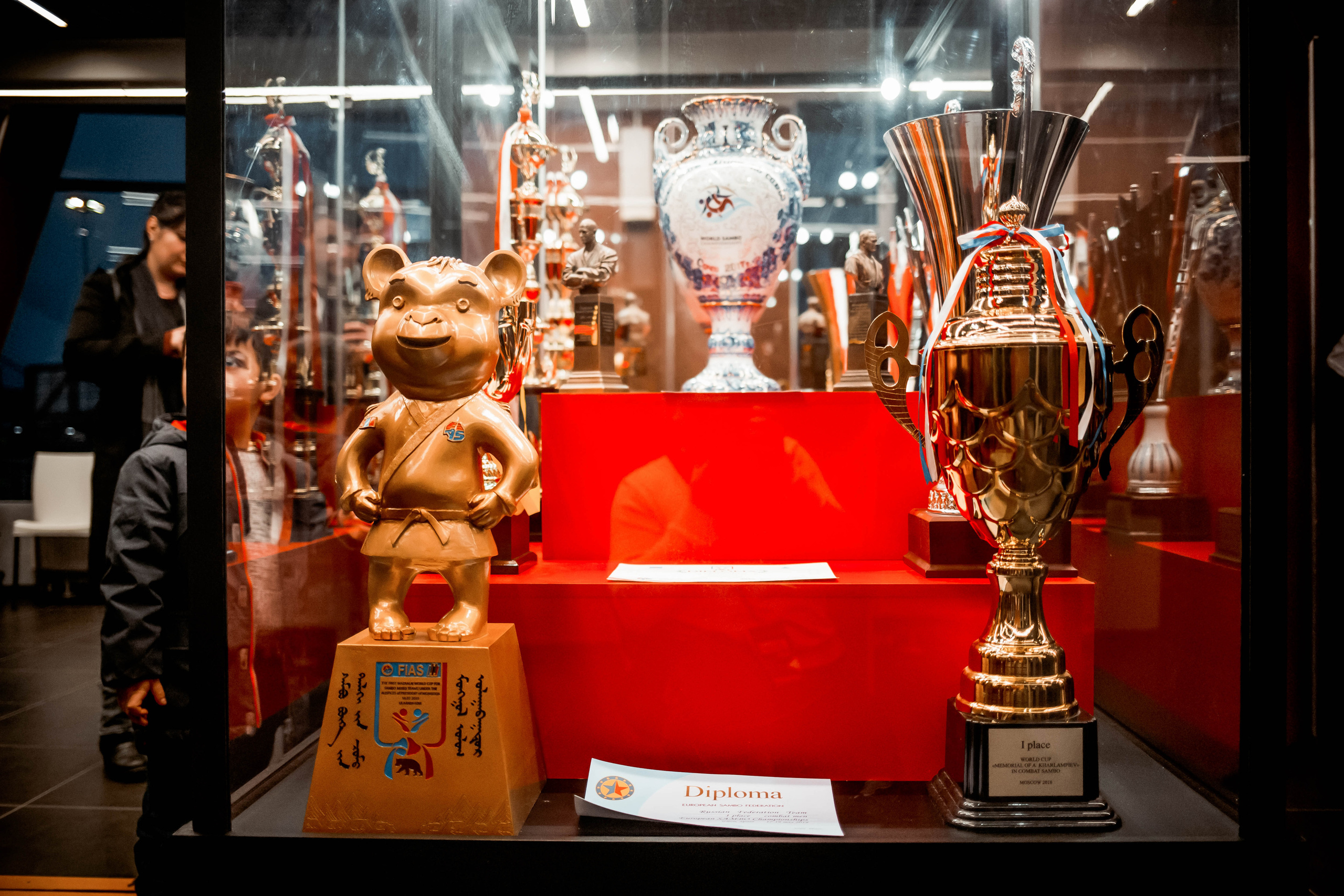 Лига Боевого Самбо. Репортажный фотограф в Сочи Дмитрий Ветринский