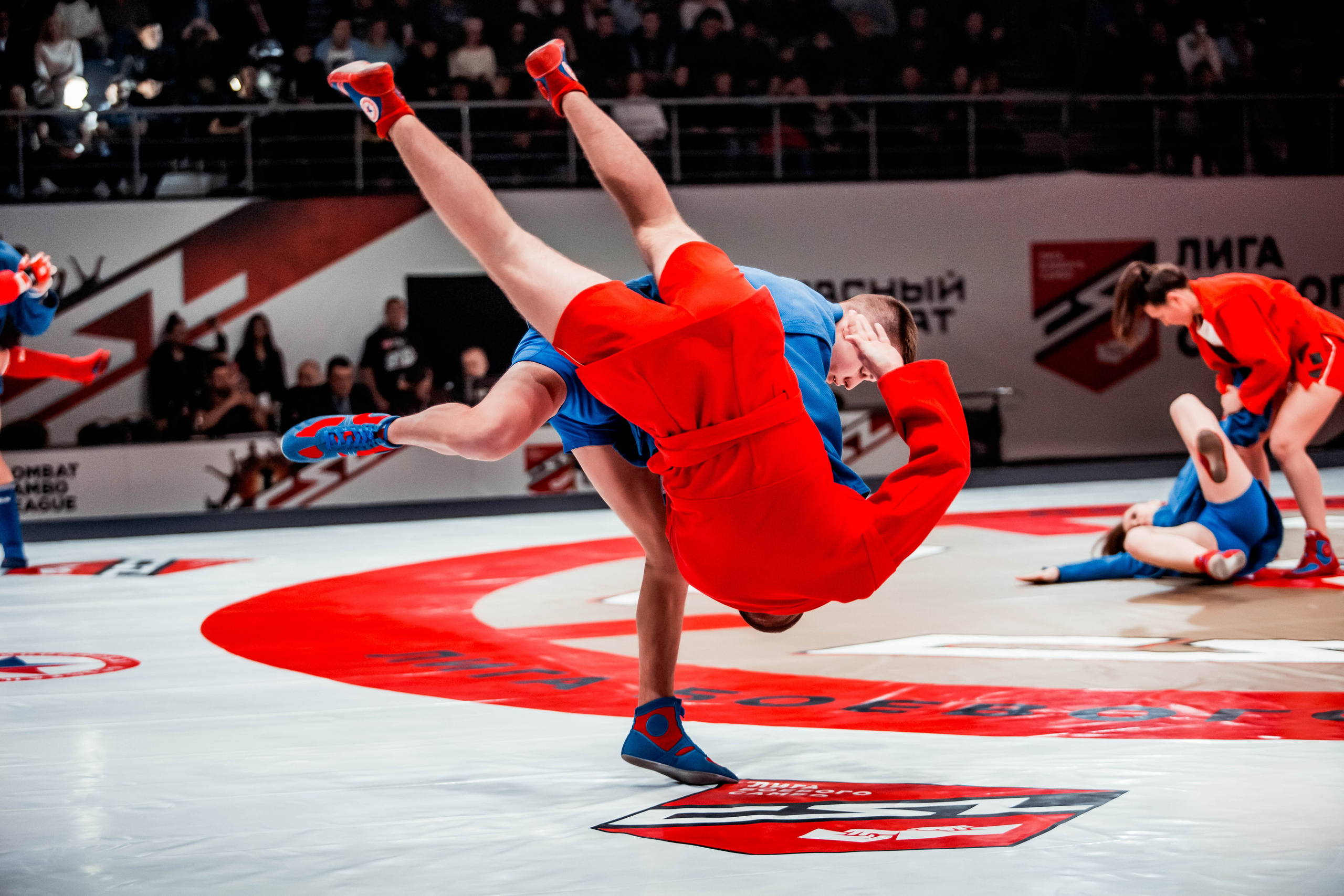 Лига Боевого Самбо. Репортажный фотограф в Сочи Дмитрий Ветринский