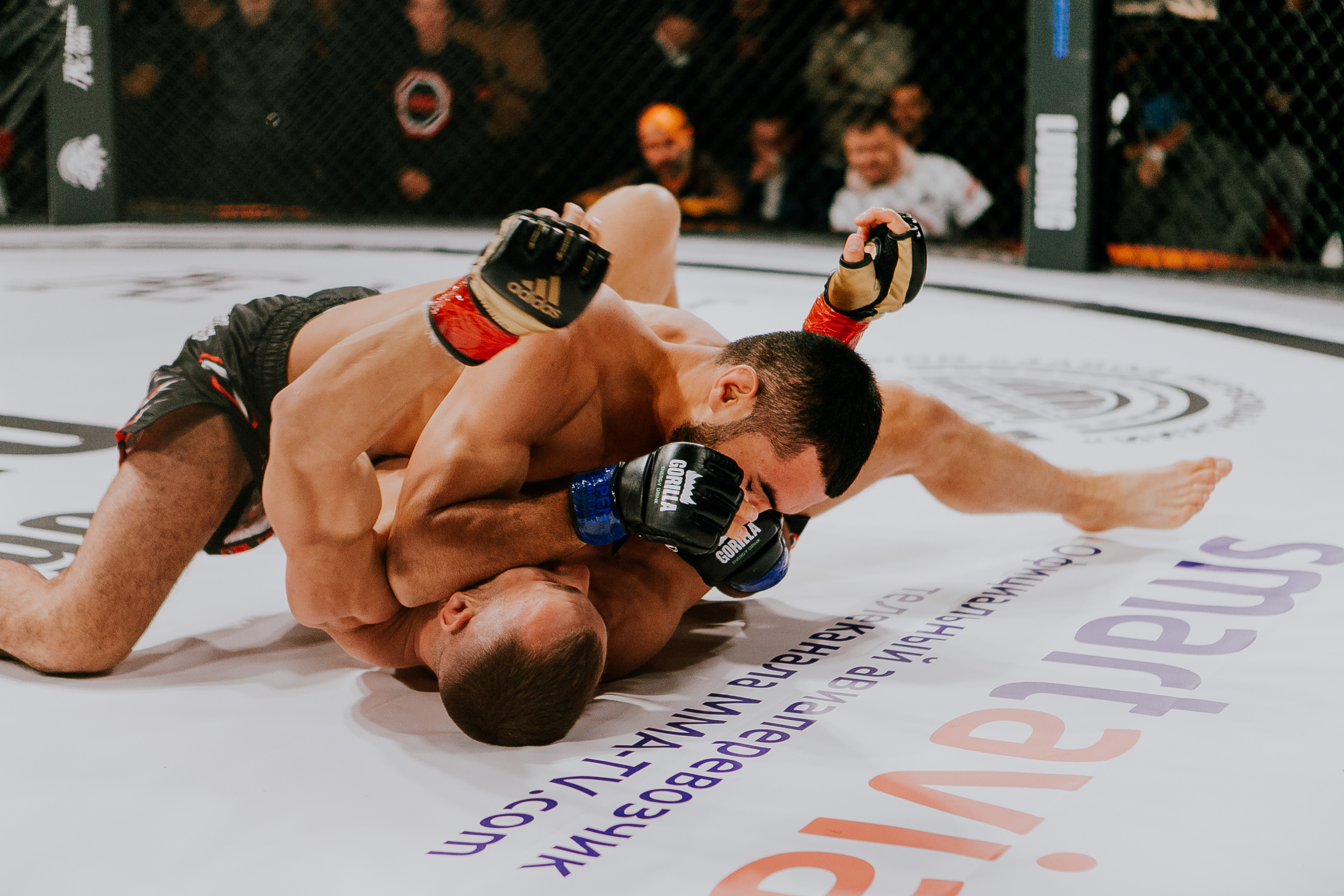 MMA SERIES 56. Репортажный фотограф в Сочи Дмитрий Ветринский