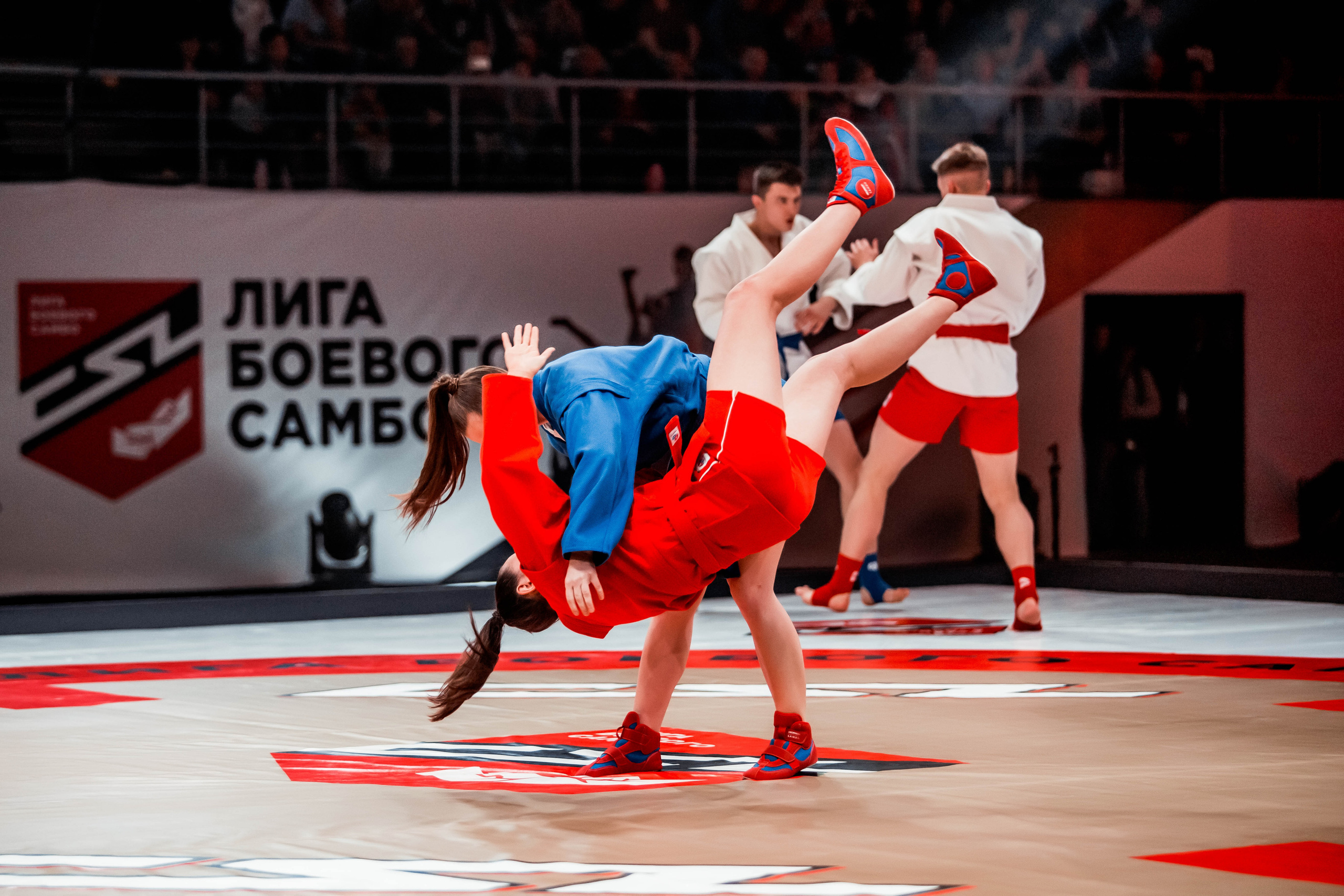 Лига Боевого Самбо. Репортажный фотограф в Сочи Дмитрий Ветринский