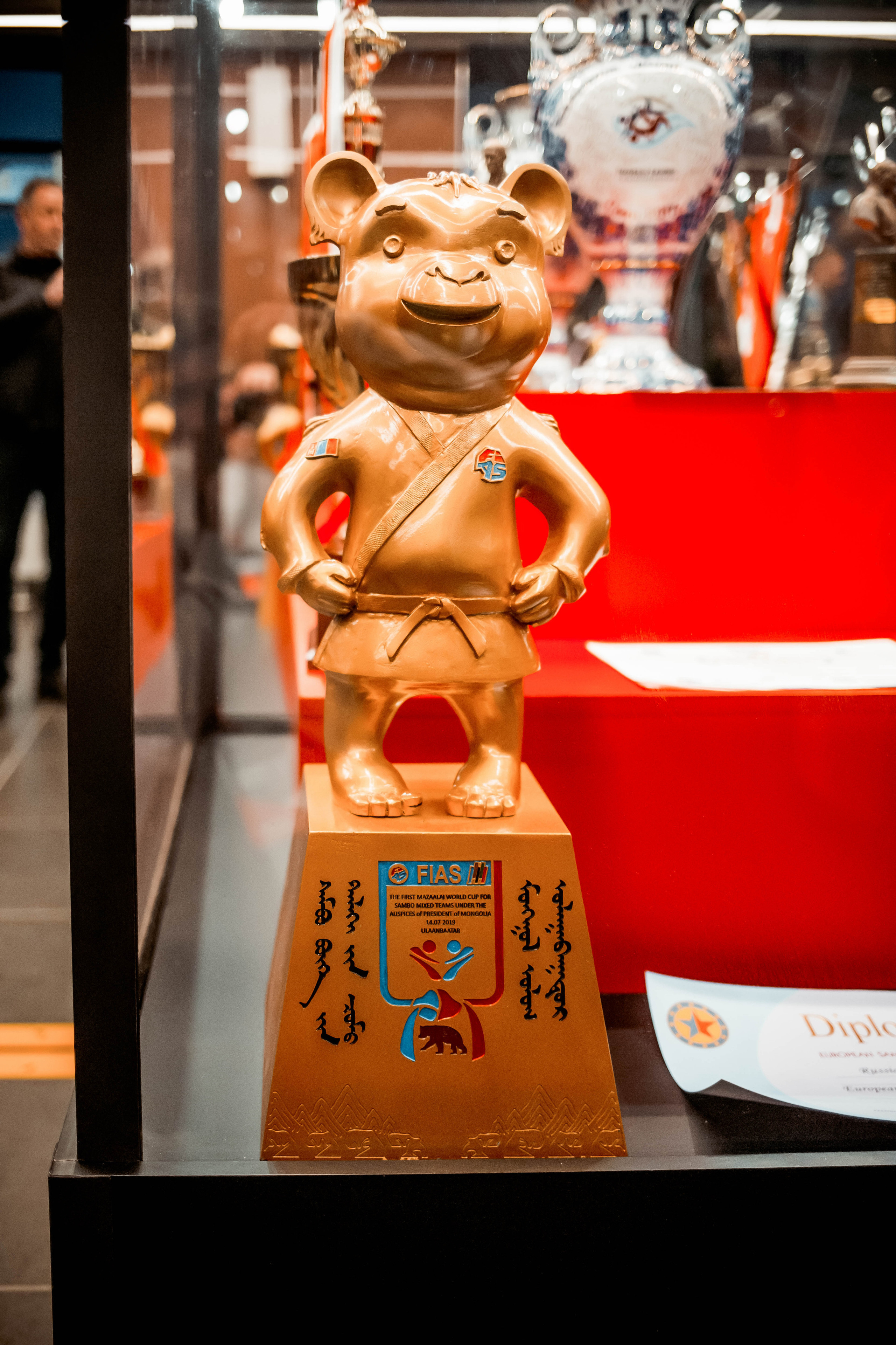 Лига Боевого Самбо. Репортажный фотограф в Сочи Дмитрий Ветринский