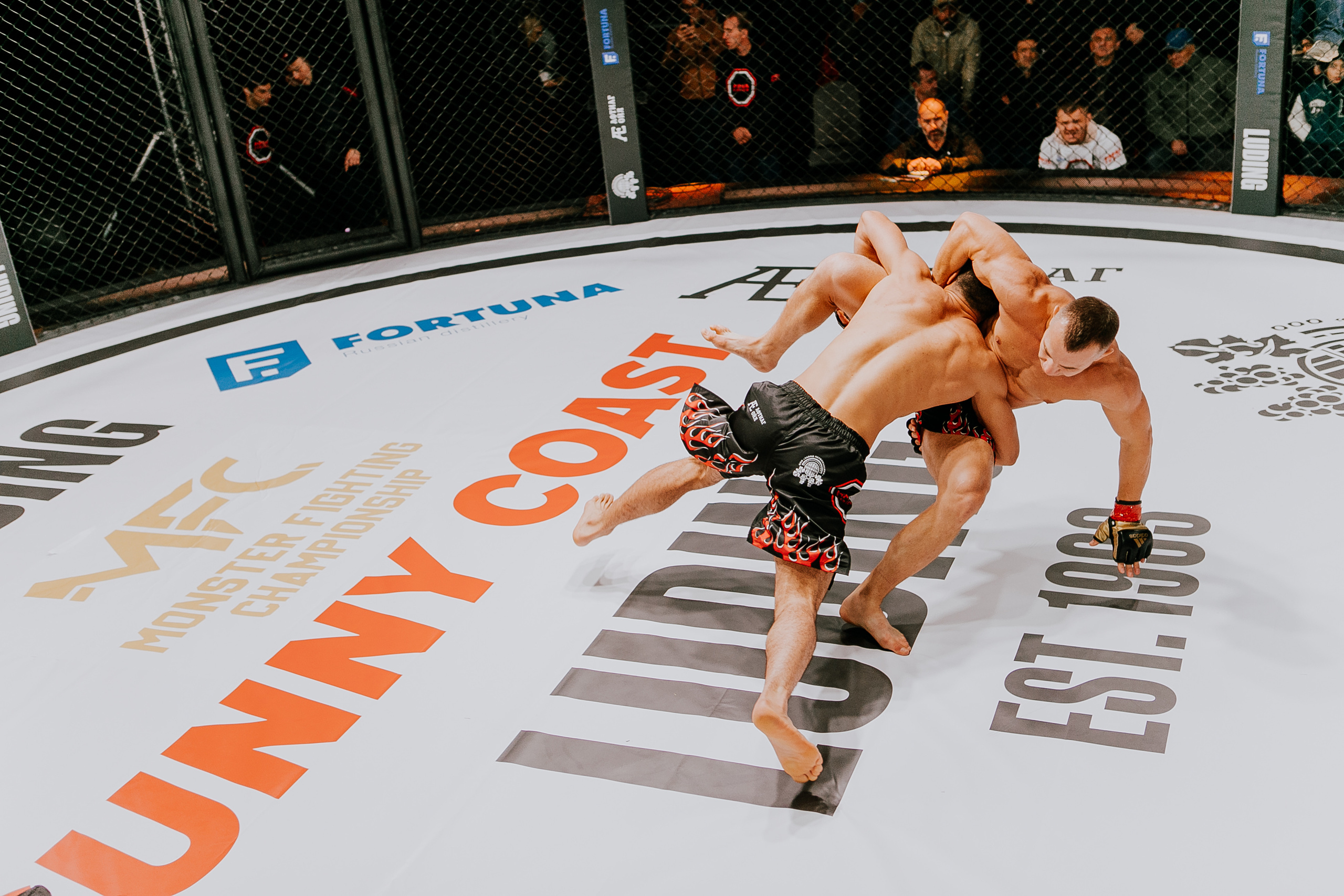 MMA SERIES 56. Репортажный фотограф в Сочи Дмитрий Ветринский