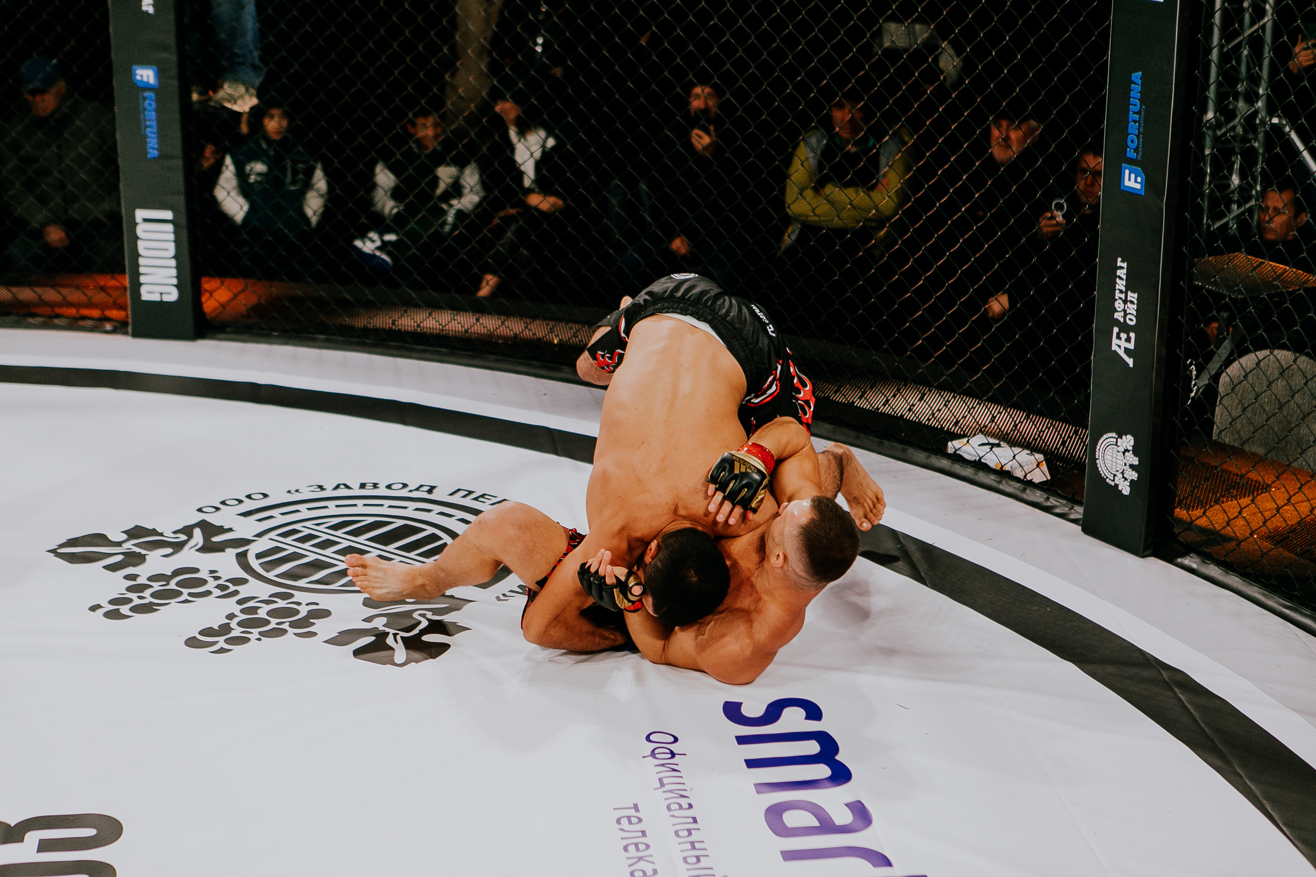 MMA SERIES 56. Репортажный фотограф в Сочи Дмитрий Ветринский