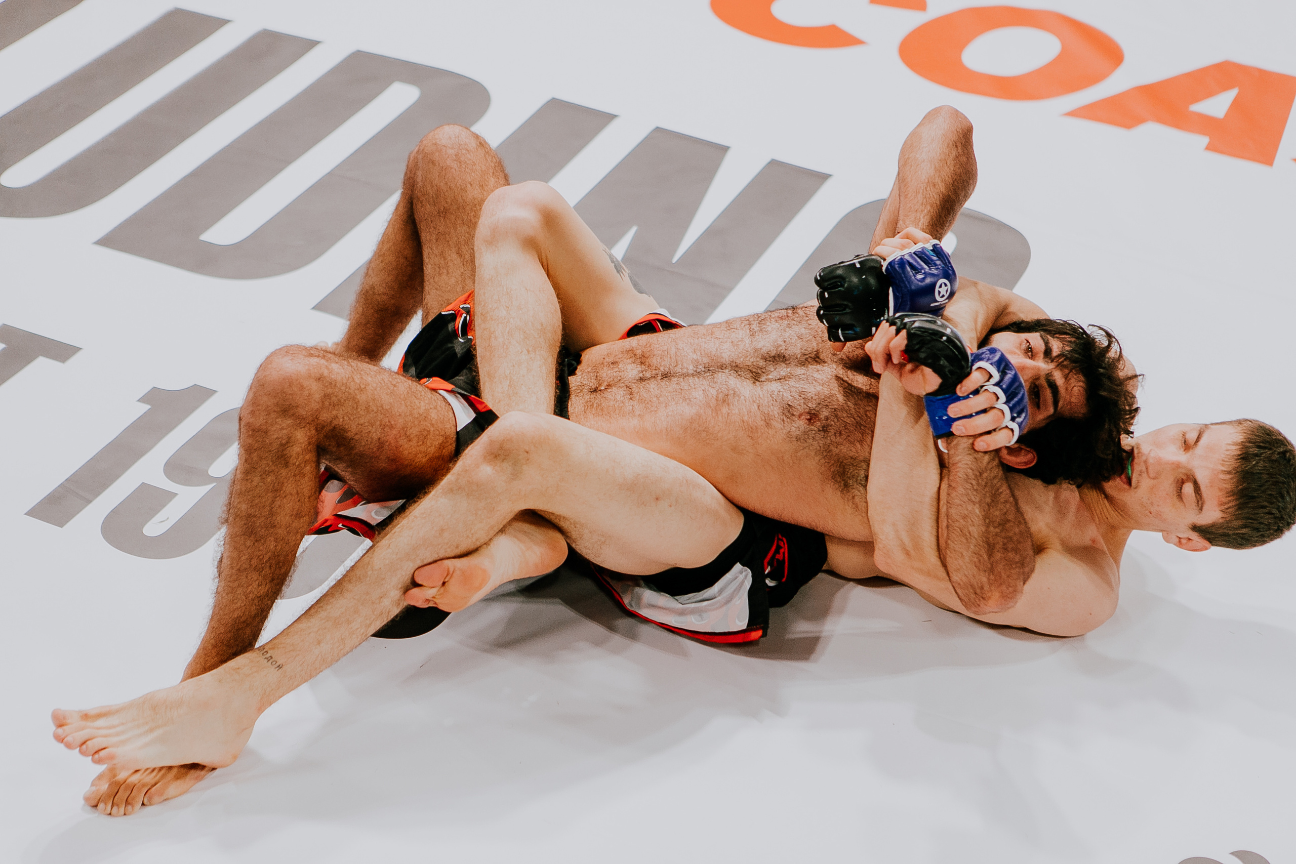 MMA SERIES 56. Репортажный фотограф в Сочи Дмитрий Ветринский