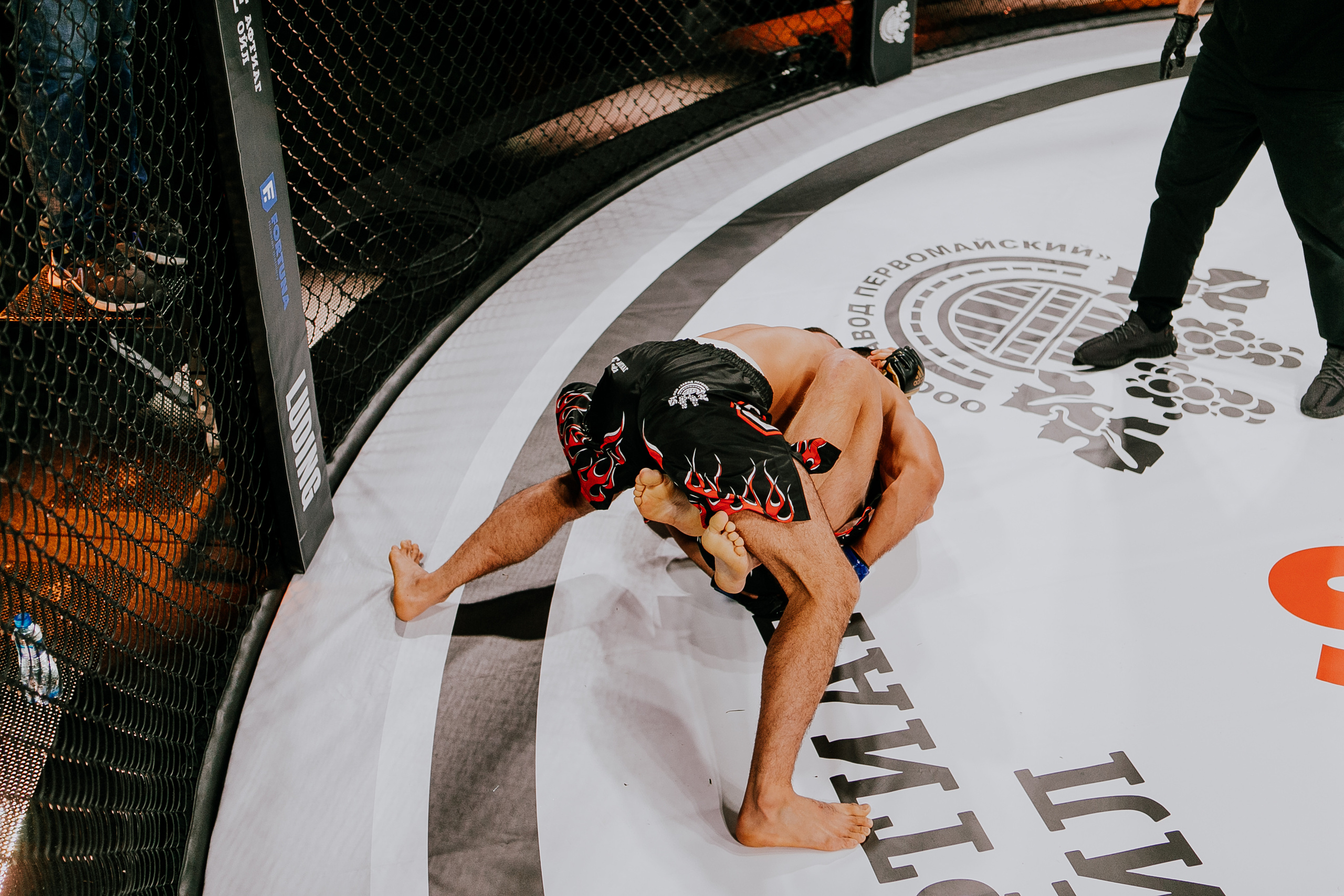 MMA SERIES 56. Репортажный фотограф в Сочи Дмитрий Ветринский