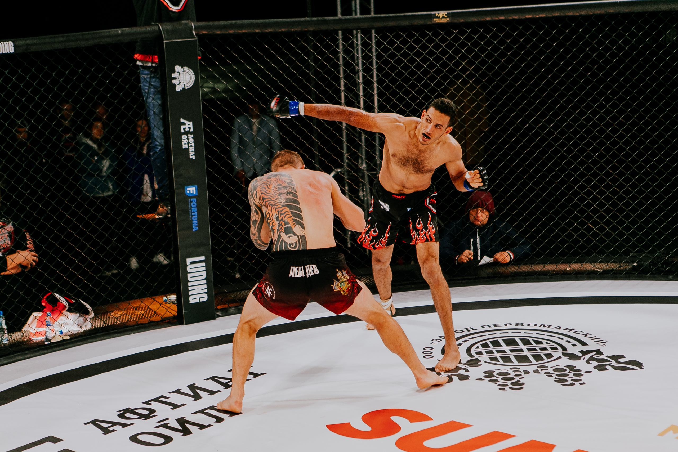 MMA SERIES 56. Репортажный фотограф в Сочи Дмитрий Ветринский