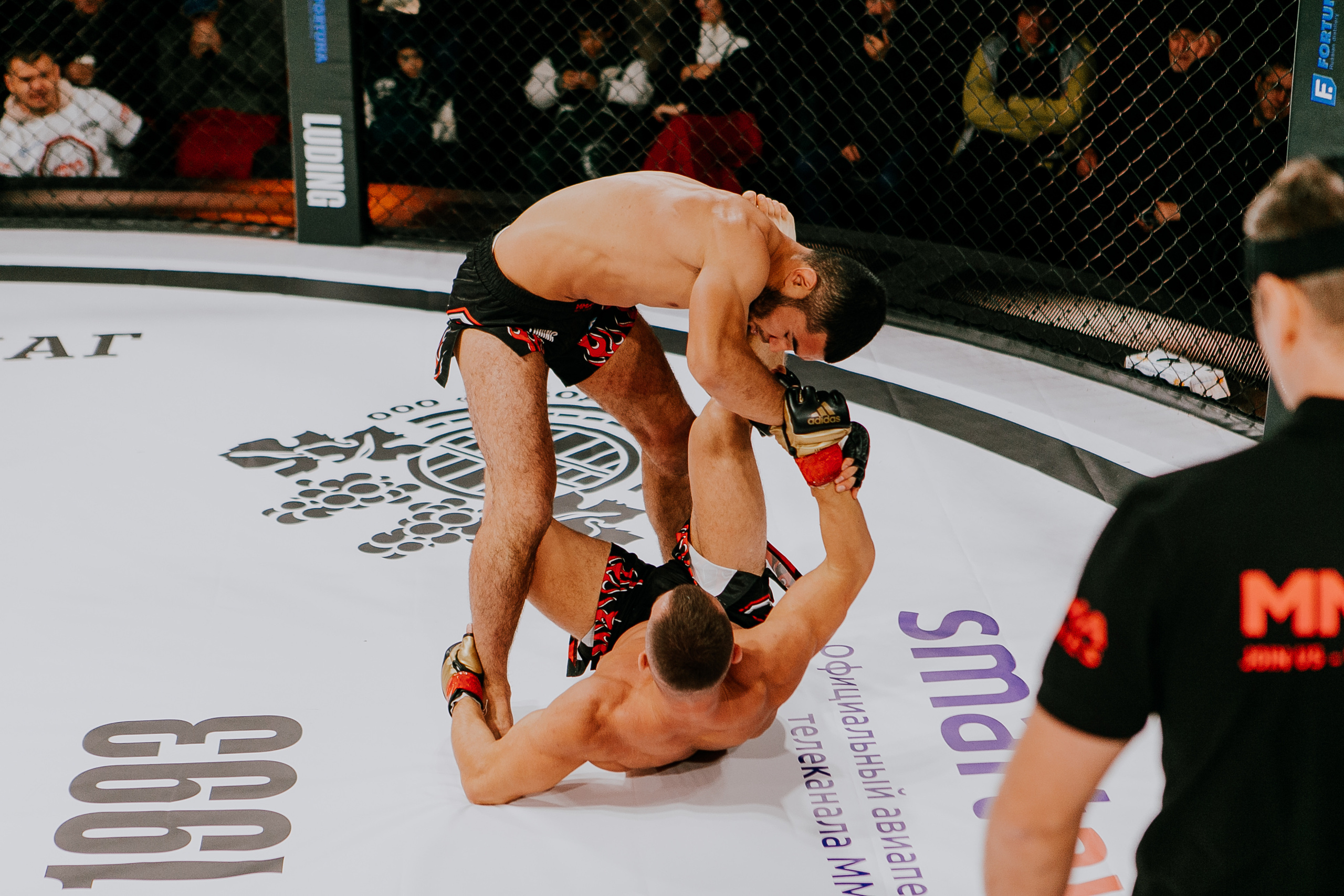 MMA SERIES 56. Репортажный фотограф в Сочи Дмитрий Ветринский