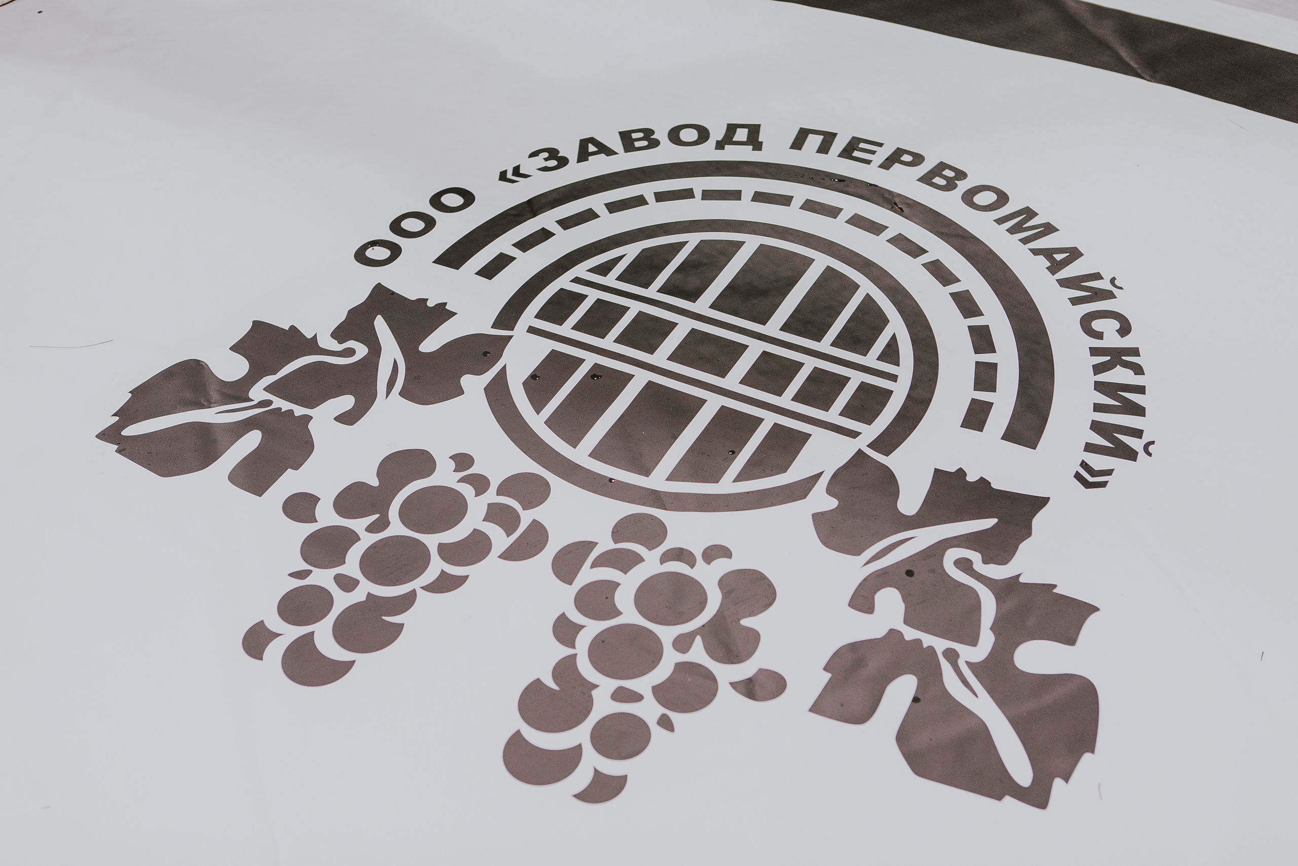 MMA SERIES 56. Репортажный фотограф в Сочи Дмитрий Ветринский