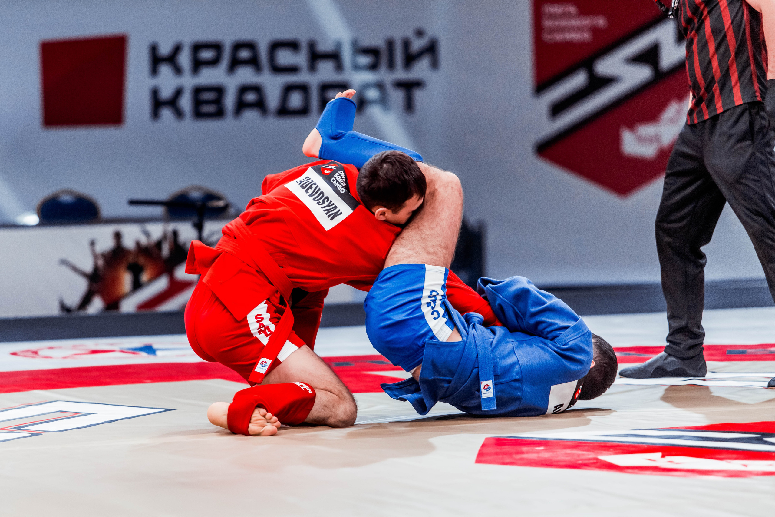 Лига Боевого Самбо. Репортажный фотограф в Сочи Дмитрий Ветринский
