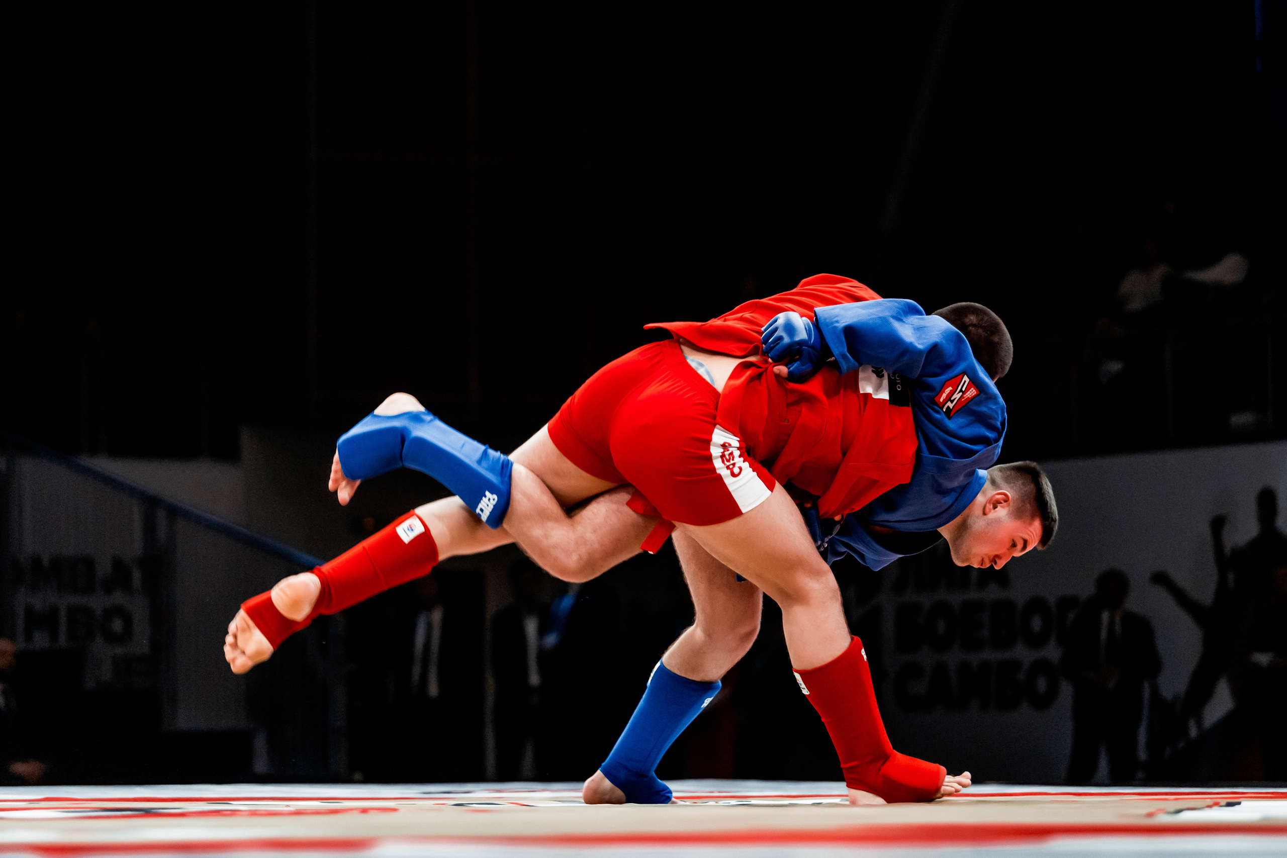 Лига Боевого Самбо. Репортажный фотограф в Сочи Дмитрий Ветринский