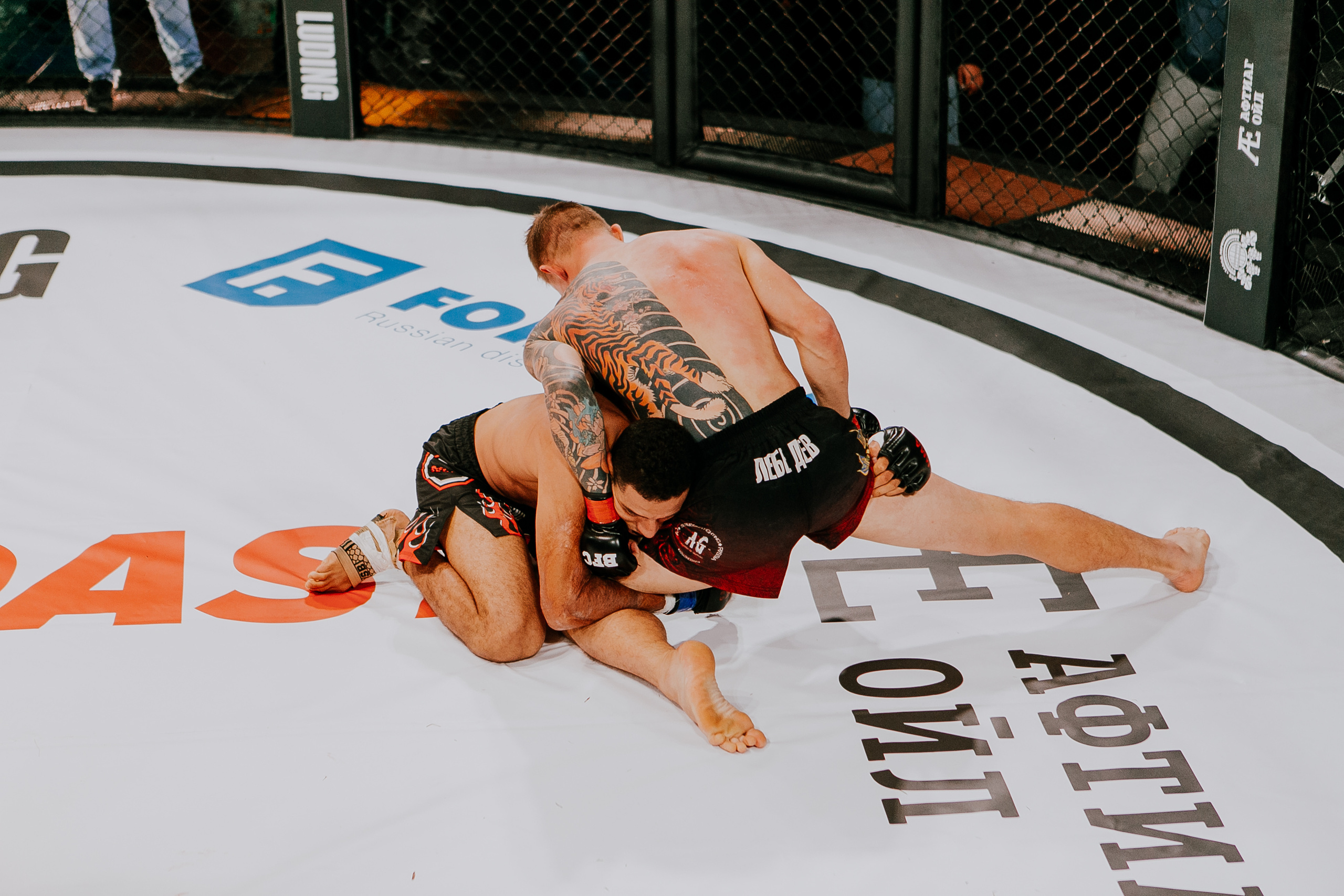 MMA SERIES 56. Репортажный фотограф в Сочи Дмитрий Ветринский