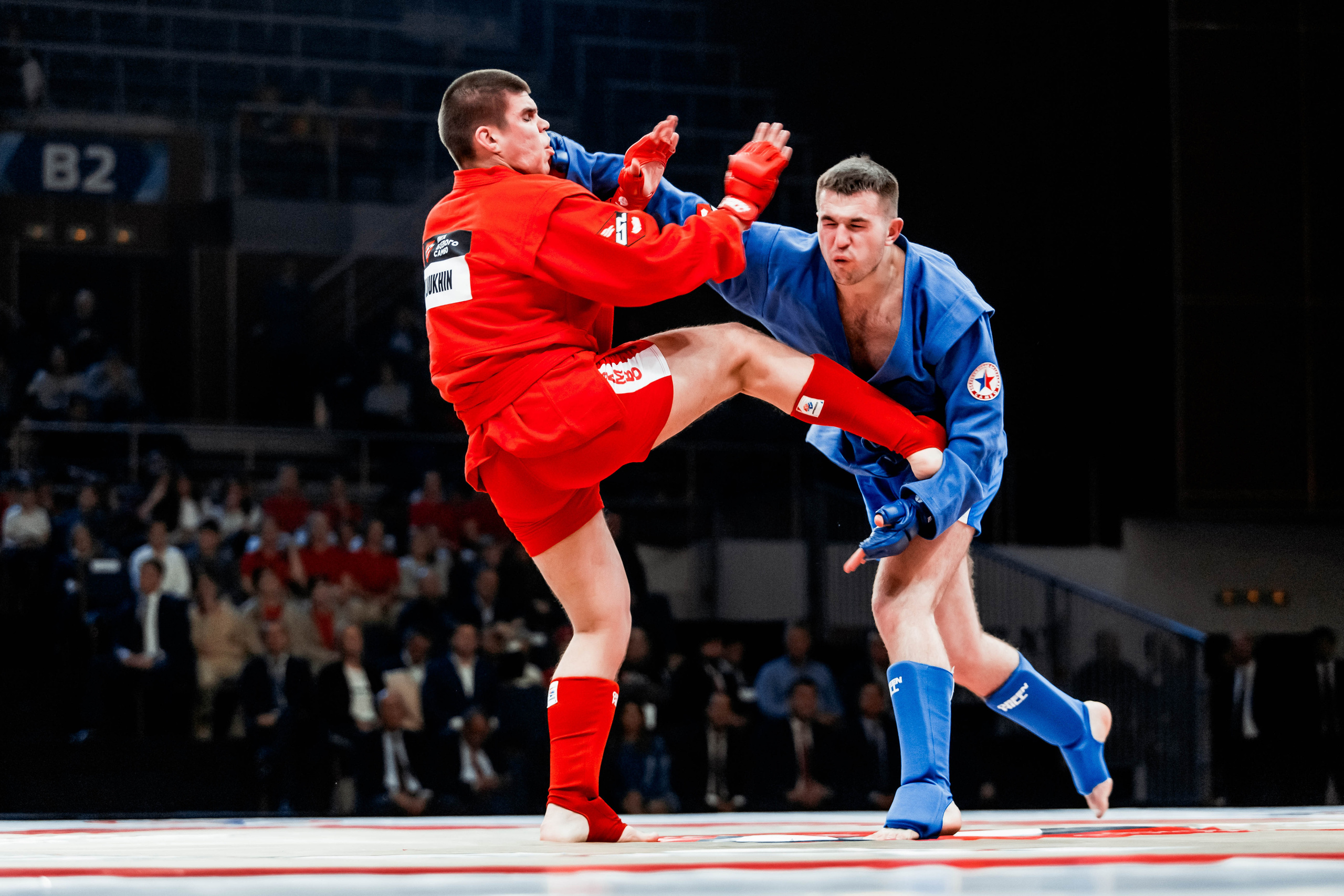 Лига Боевого Самбо. Репортажный фотограф в Сочи Дмитрий Ветринский