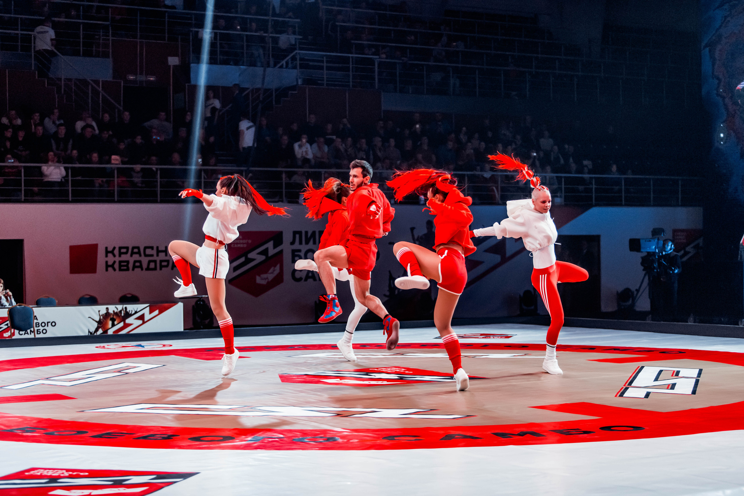 Лига Боевого Самбо. Репортажный фотограф в Сочи Дмитрий Ветринский