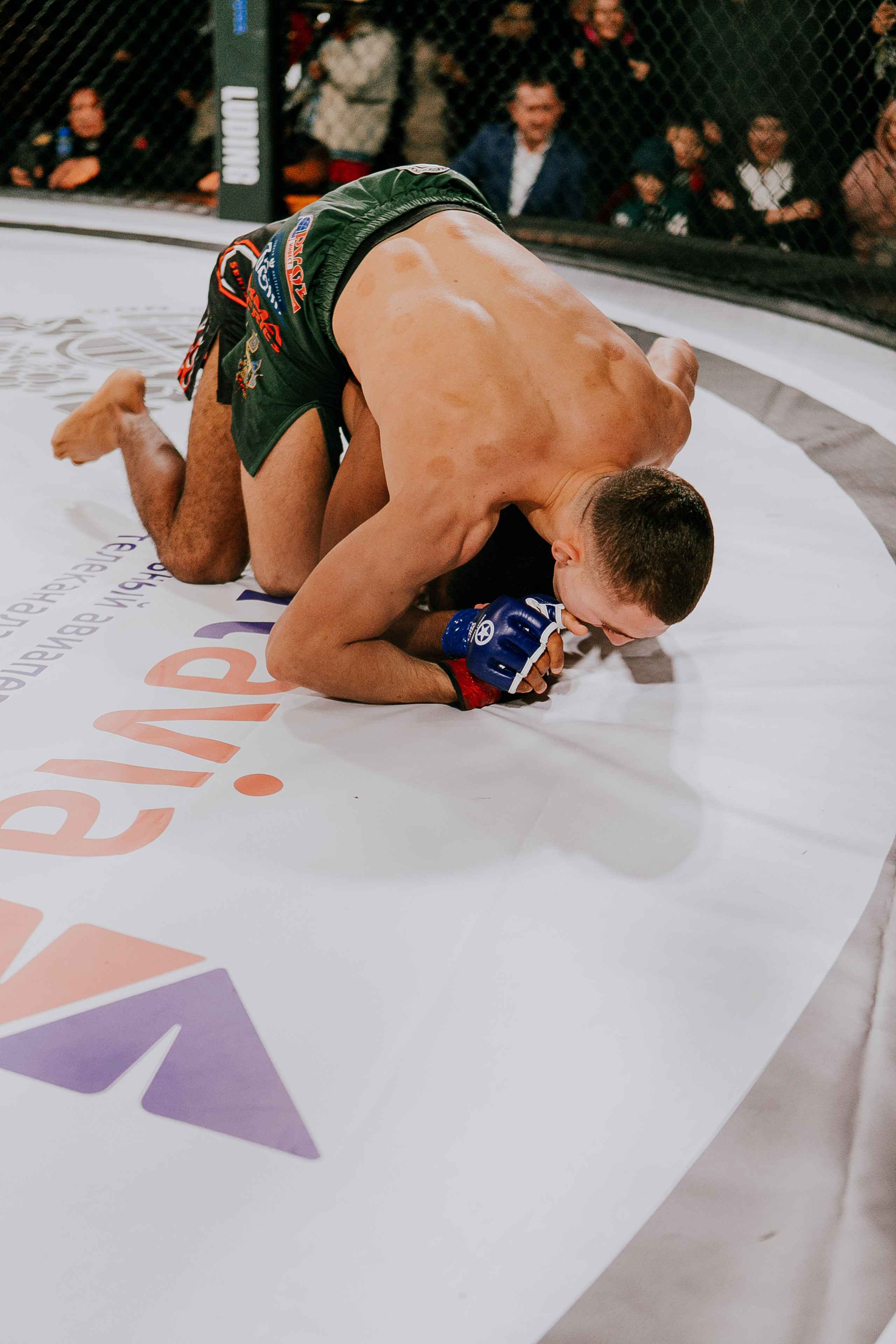 MMA SERIES 56. Репортажный фотограф в Сочи Дмитрий Ветринский