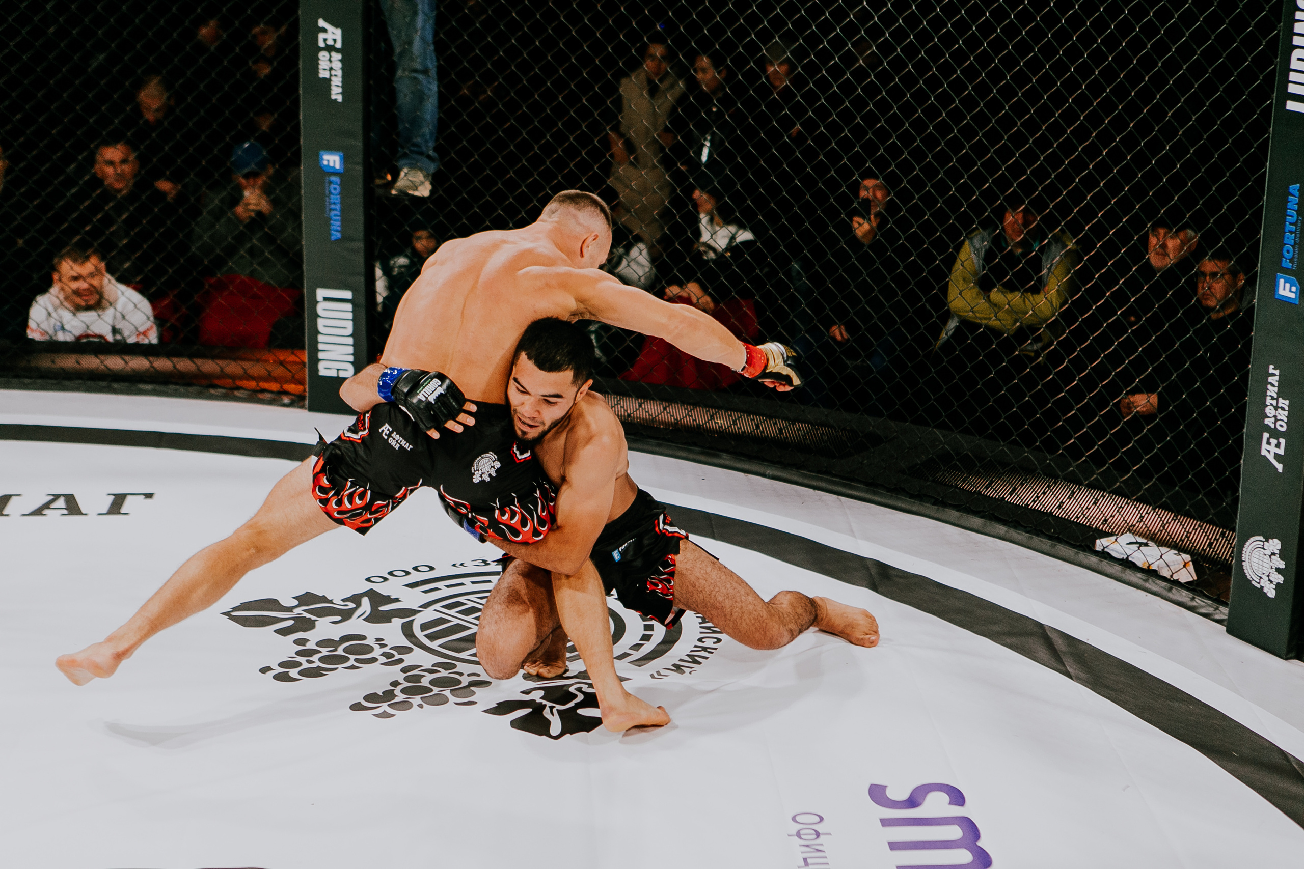 MMA SERIES 56. Репортажный фотограф в Сочи Дмитрий Ветринский