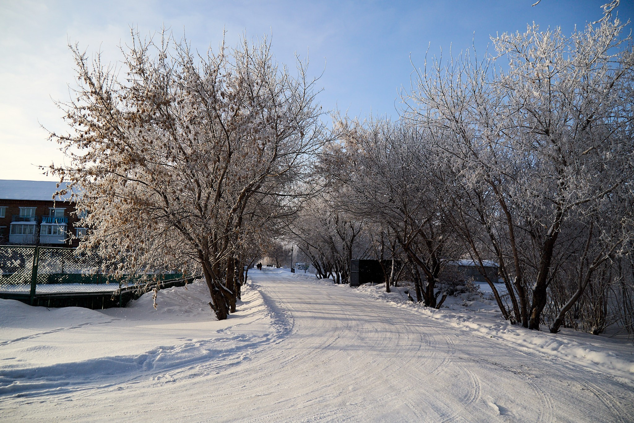 Предновогодняя сказка. Фотограф Омск | Александр Вандеров