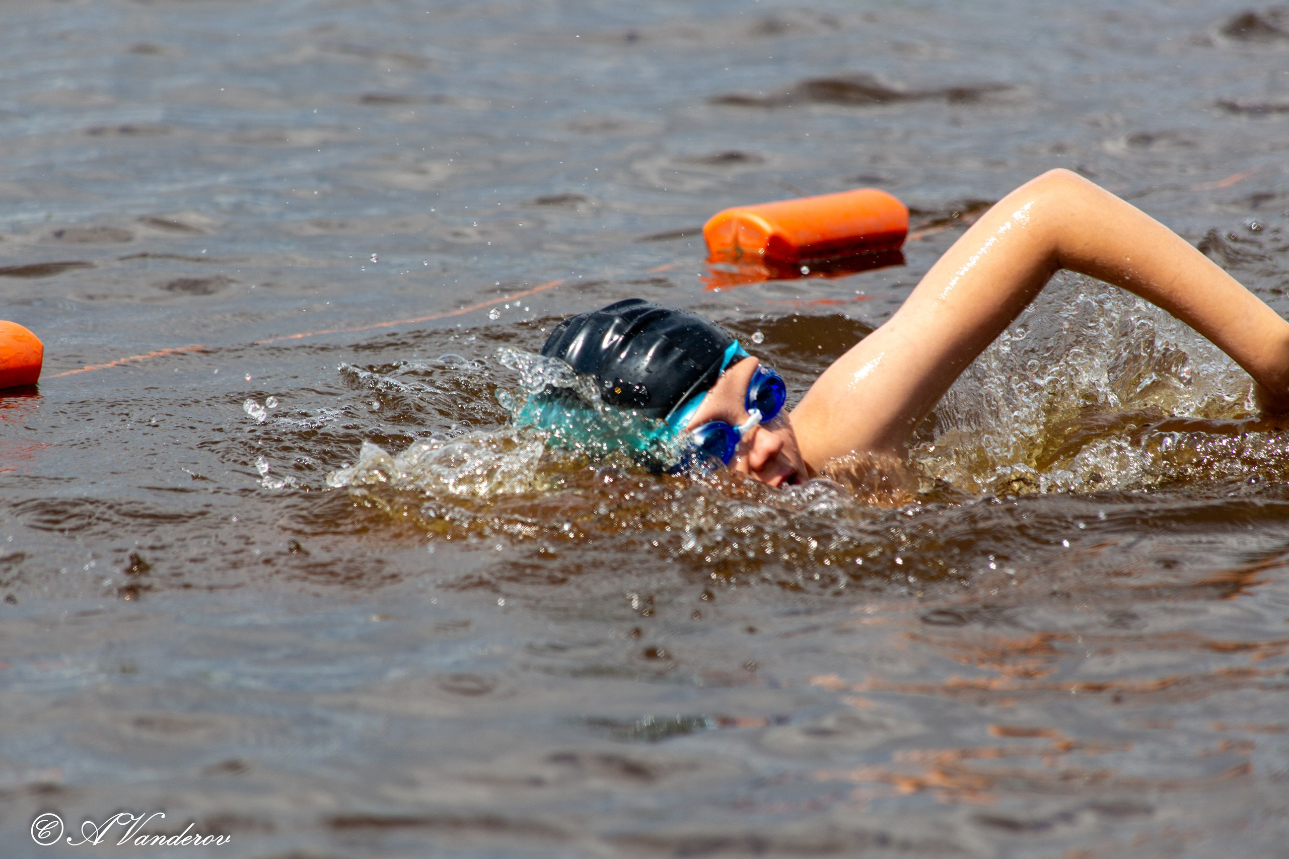 Заплыв 02.06.2024. Фотограф Омск | Александр Вандеров