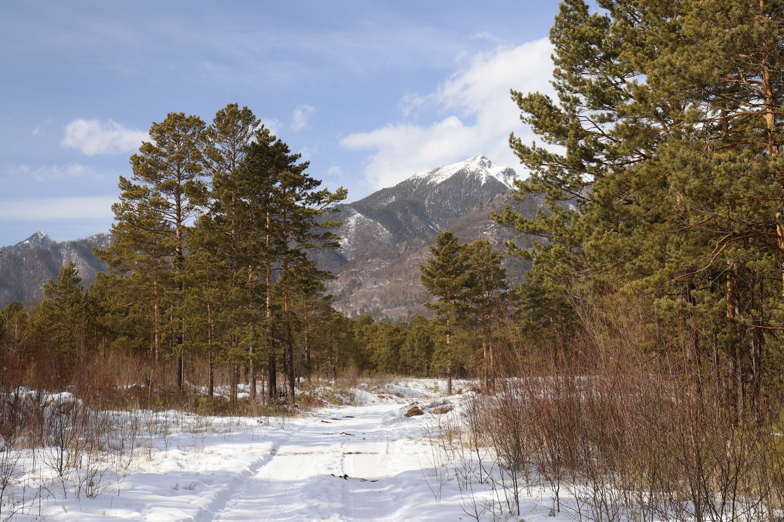 Аршан. Март 2023. Путешественник-фотограф из Санкт-Петербурга Татьяна Свистулина