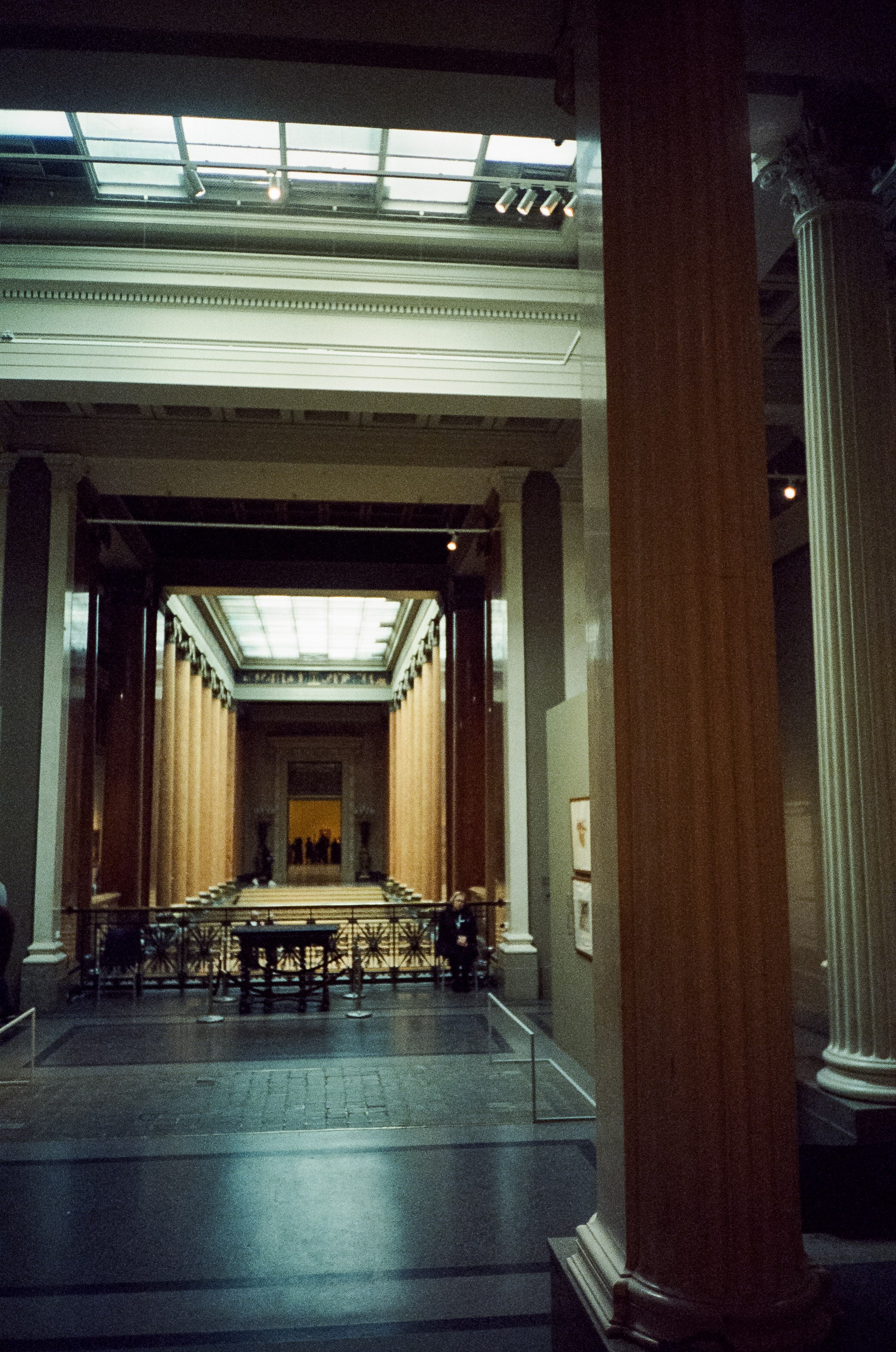 Цветы, плоды, музыкальные инструменты в Пушкинском музее. Фотограф-документалист Мария Осокина