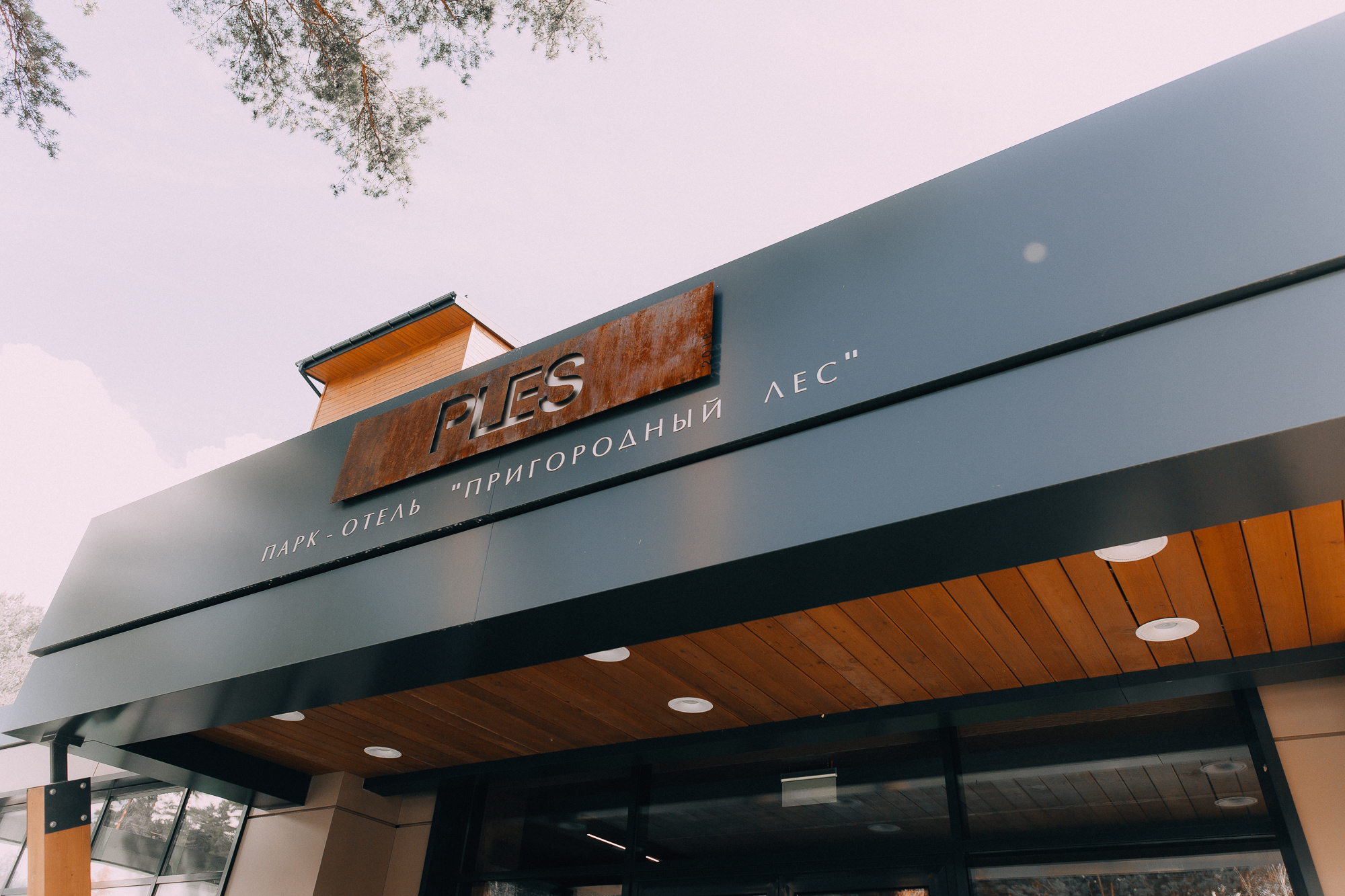 Александр+ Дарья