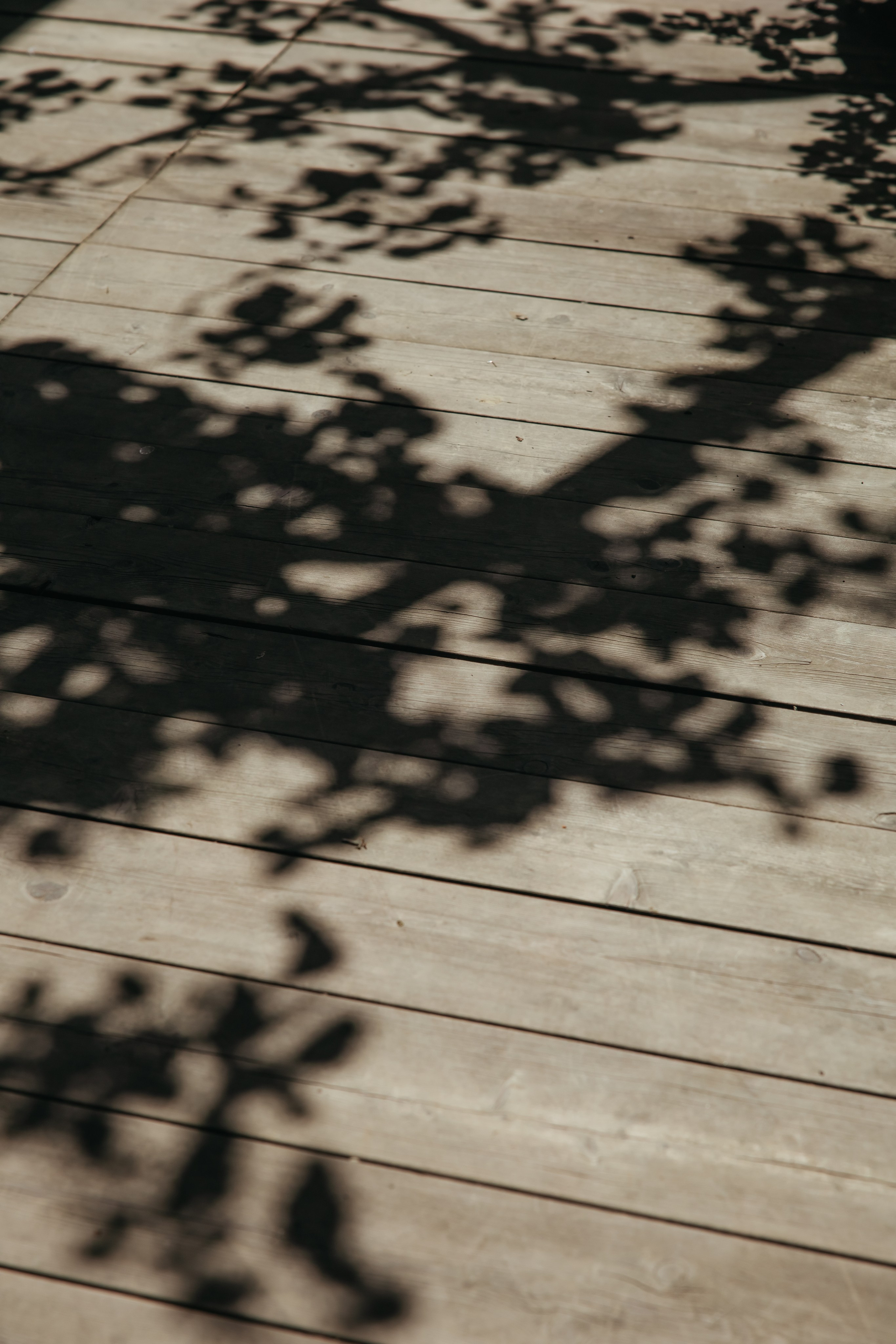 Дмитрий & Алина. Свадебный фотограф Краснодар и Москва. Анна Еремчук