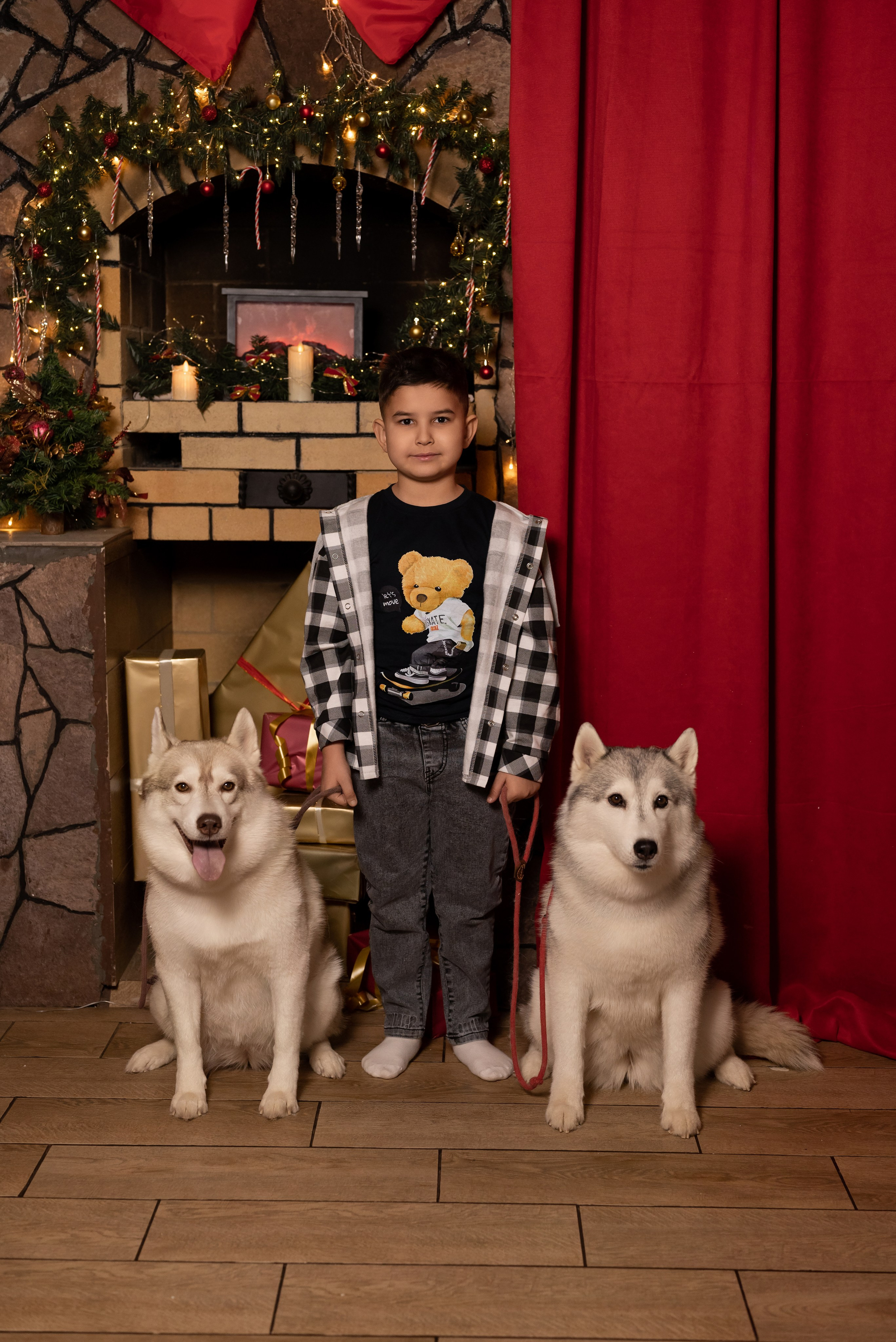 Фотопроект с хаски в частном доме. Фотограф в городе Салават