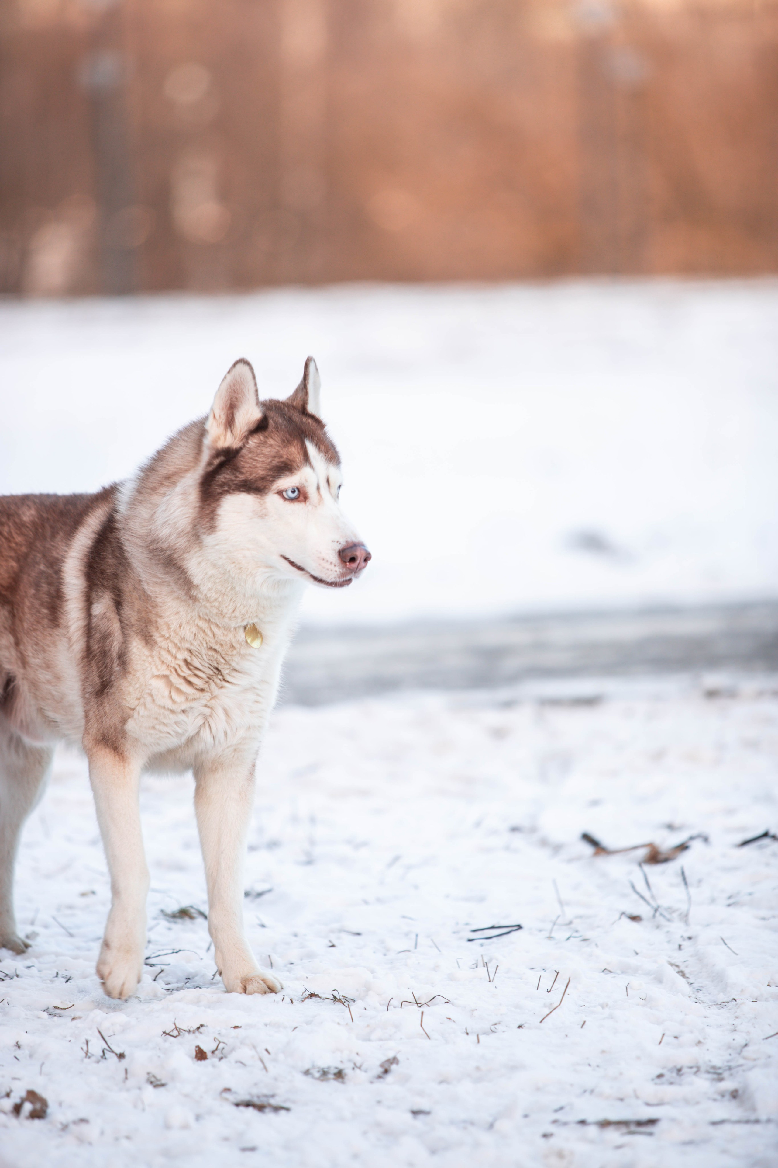5 верст_Бабушкинская. Александра Мельниченко/ Бегающий фотограф