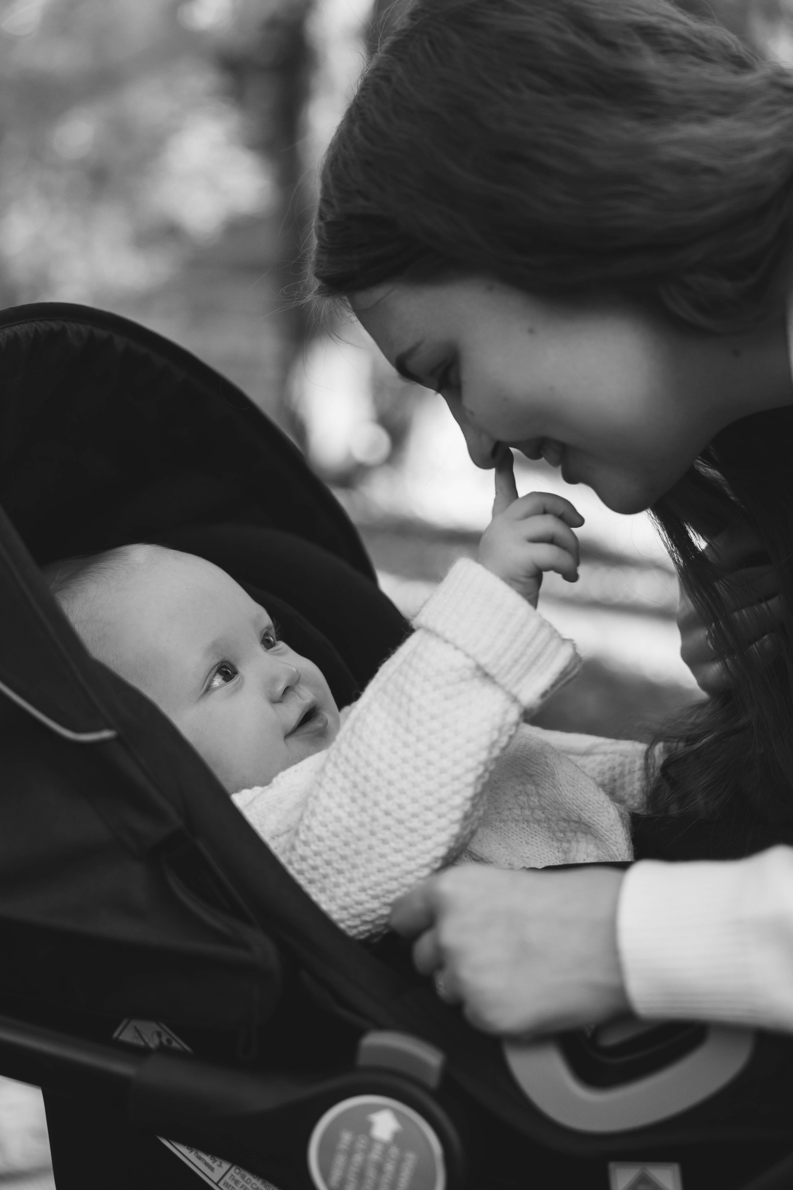 Богдан. Главная