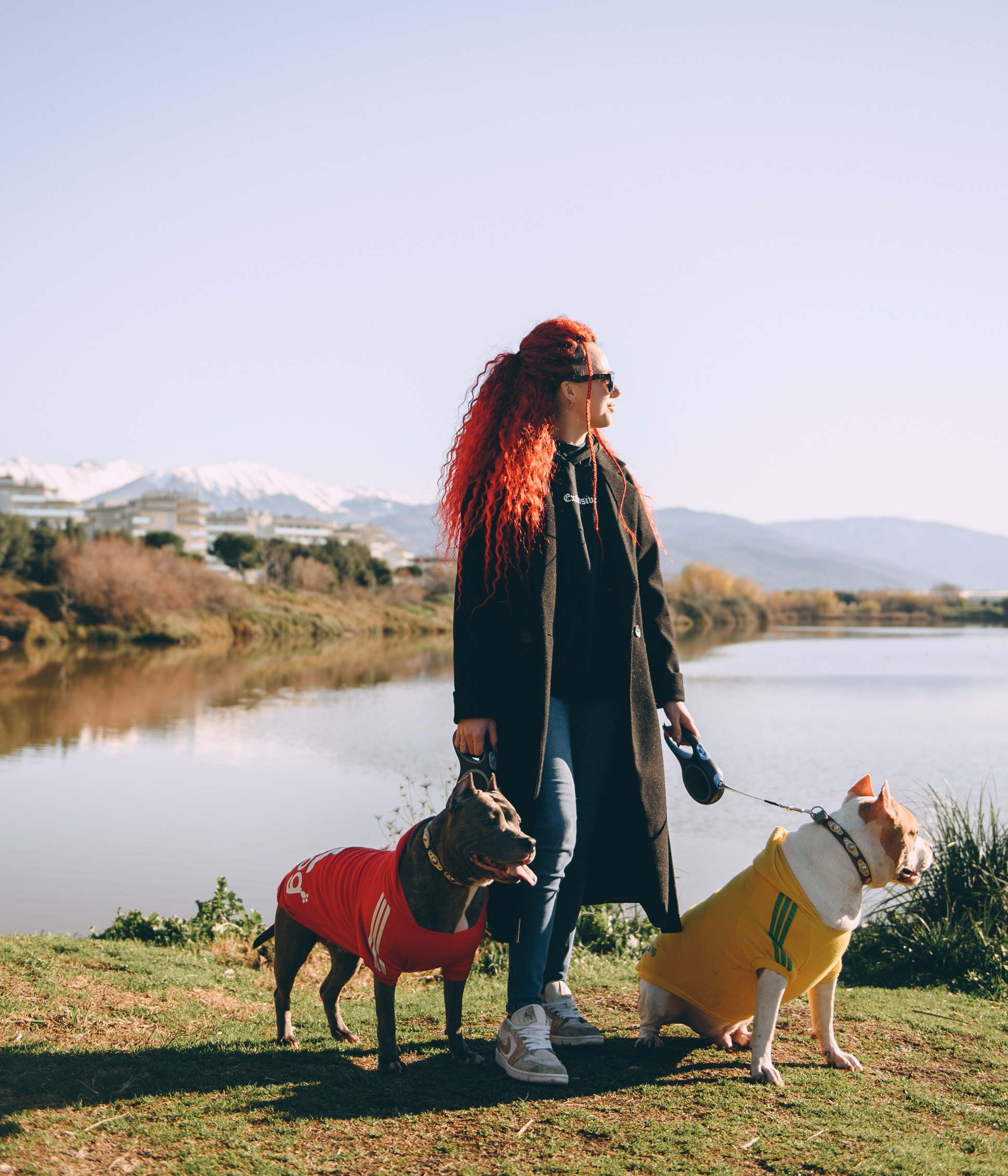 Игры с собаками. Свадебный и семейный фотограф София Невская