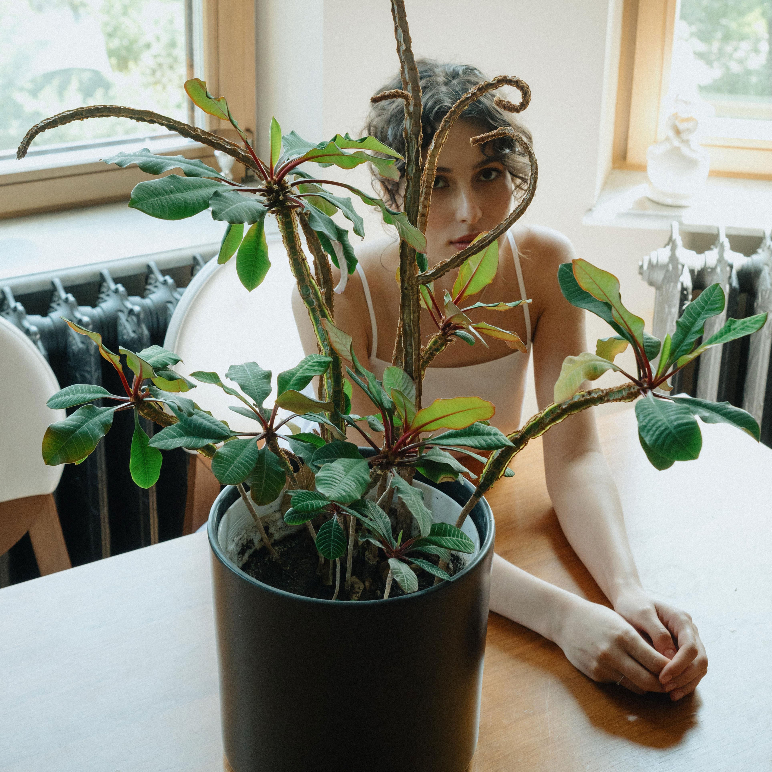 Театр-жизнь. Вадим Зименков