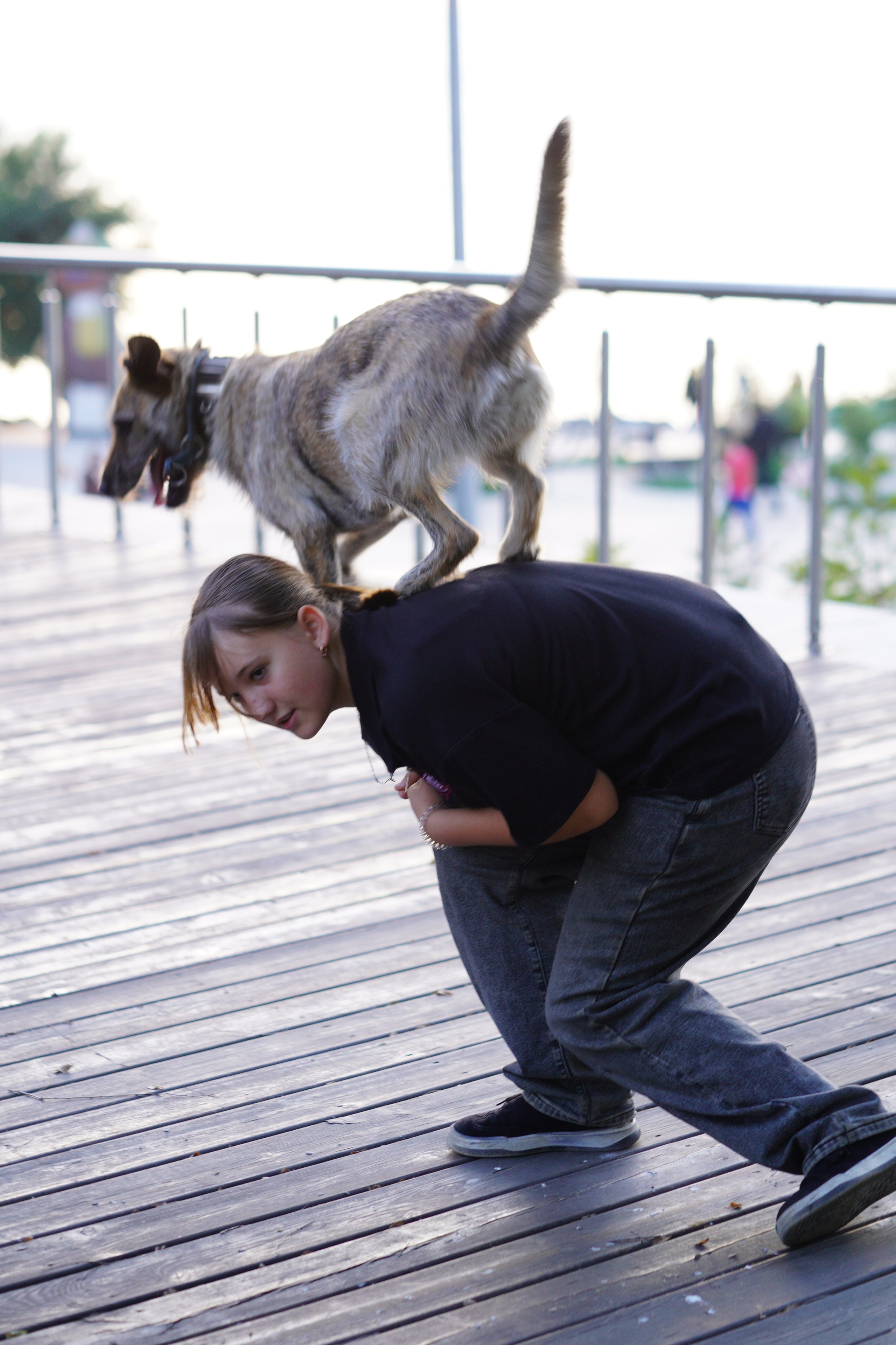 Фото девушки с собачкой. Фотограф Владивосток (художественный портрет, празднование, торжество, мероприятие, фотопрогулка)