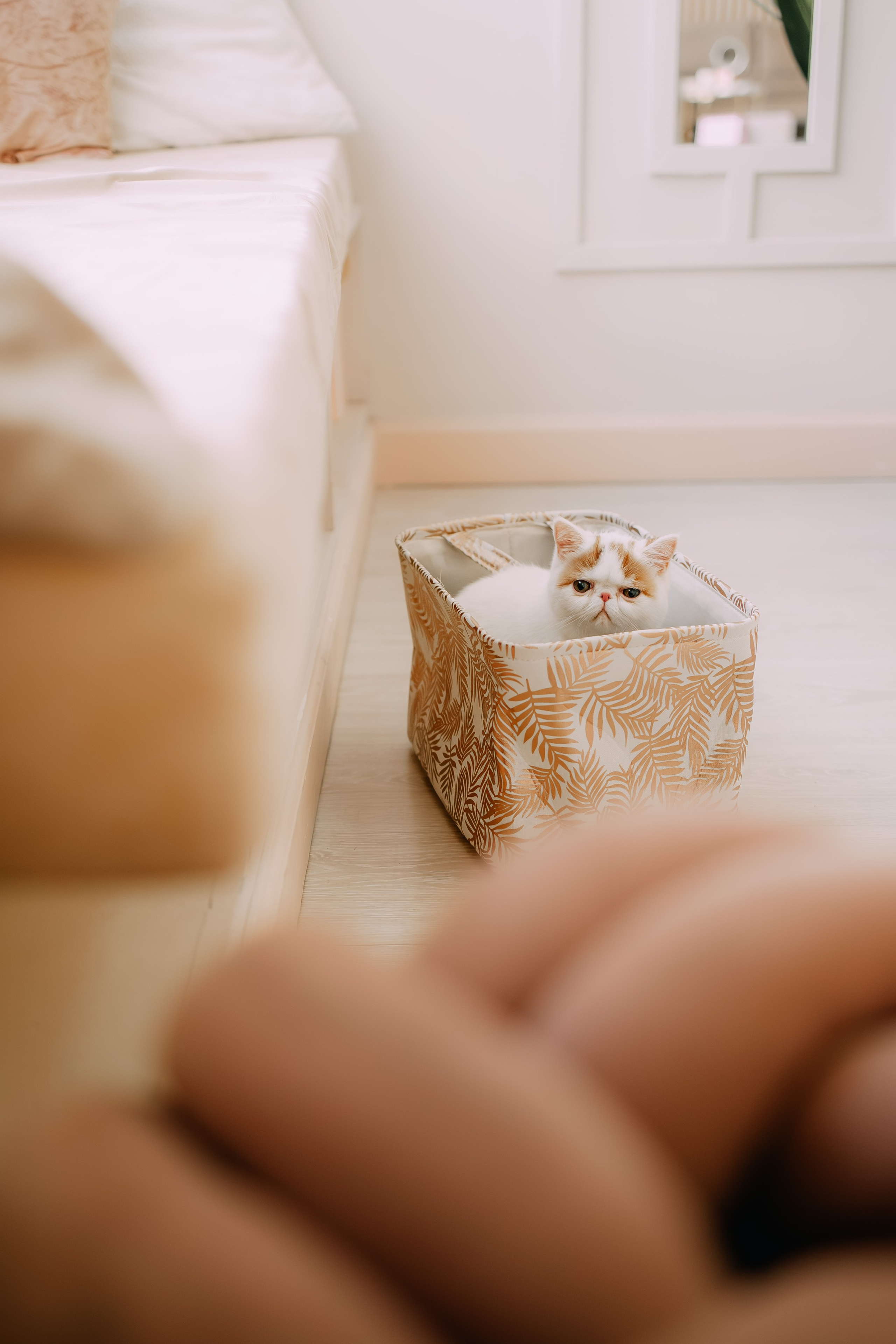 Султан, Мэй Мэй и Шанталь и их семья