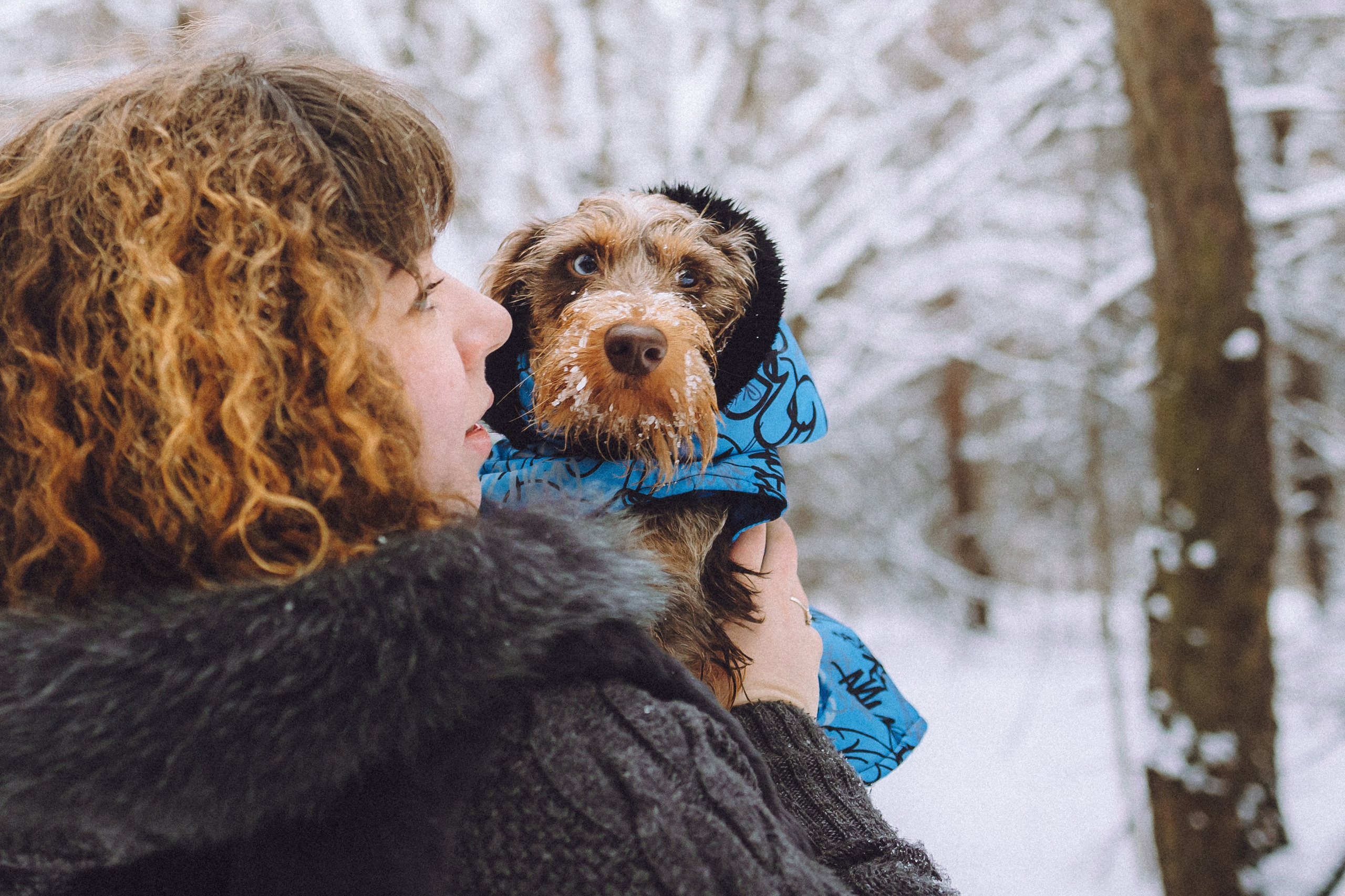 Каспер и его семья