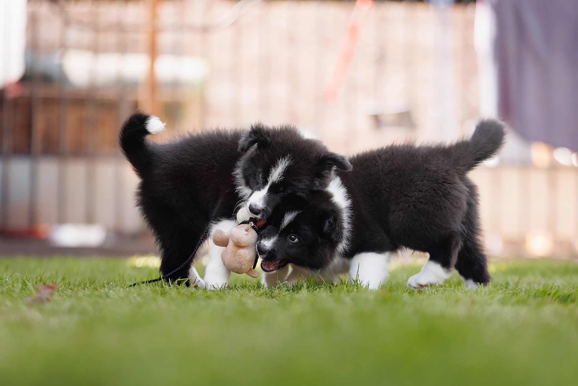 Трава у дома. О нас
