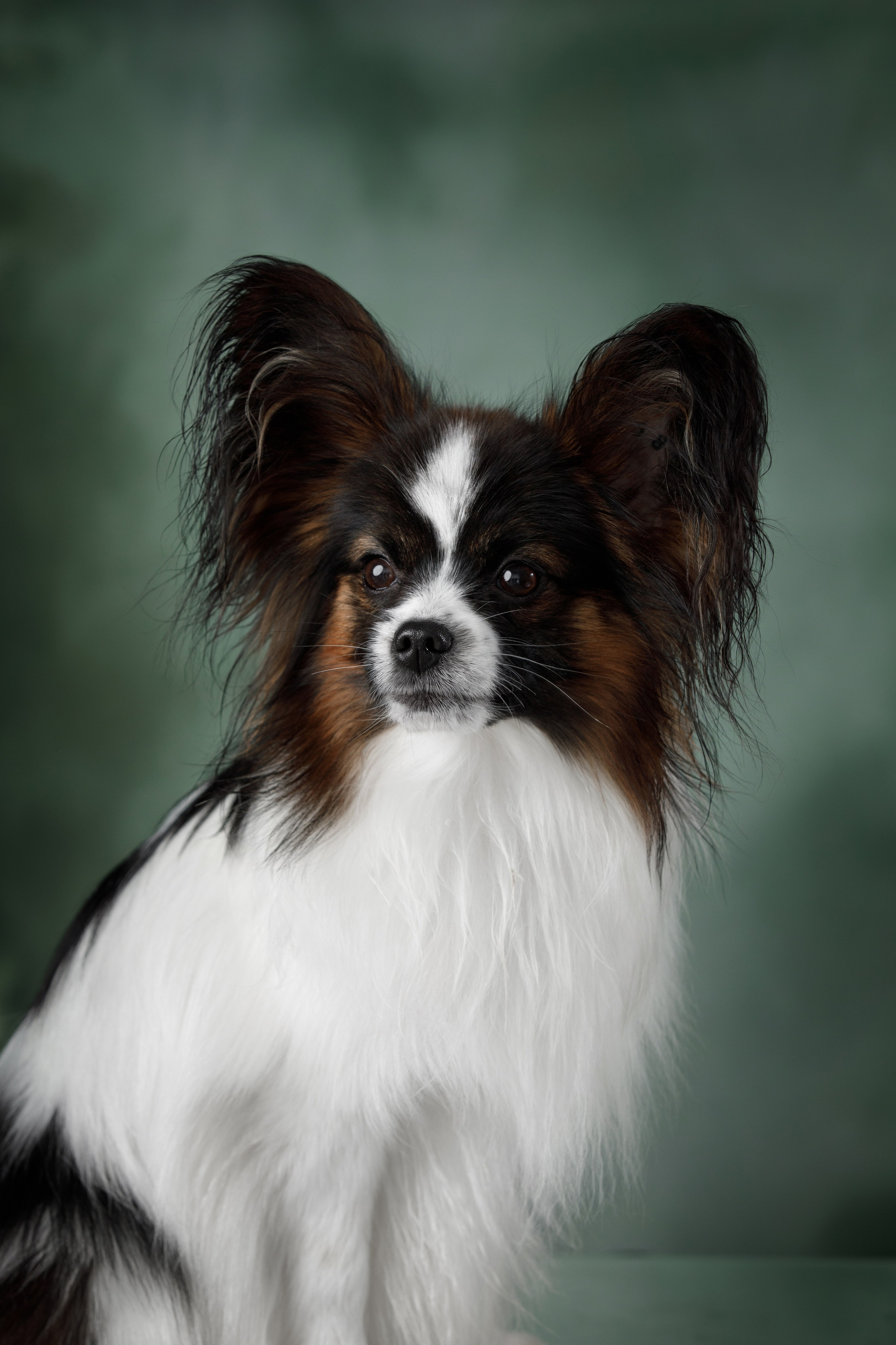 Март. Весна. 22. О нас