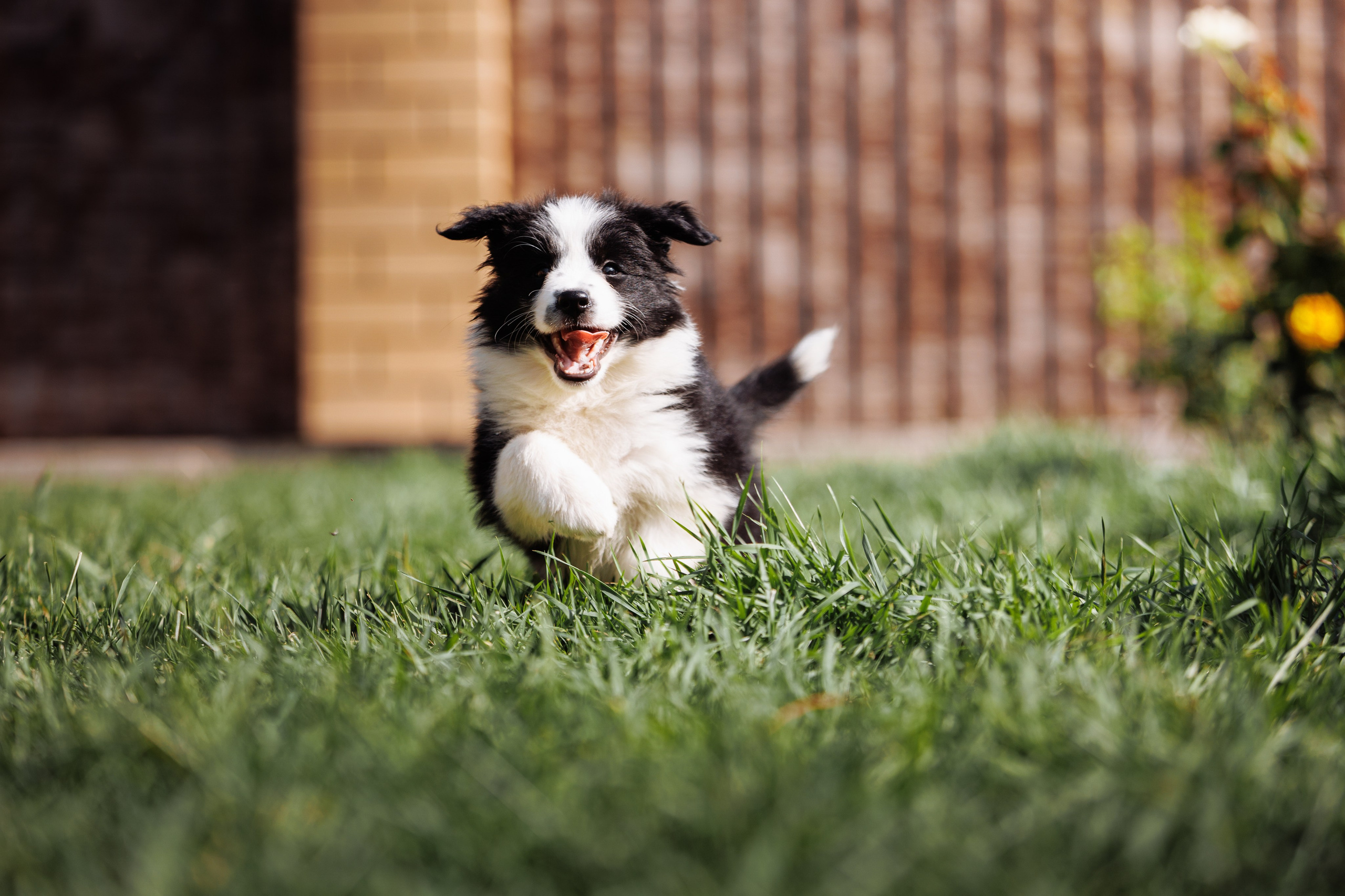 МММ — маленькое мягкое милое. О нас