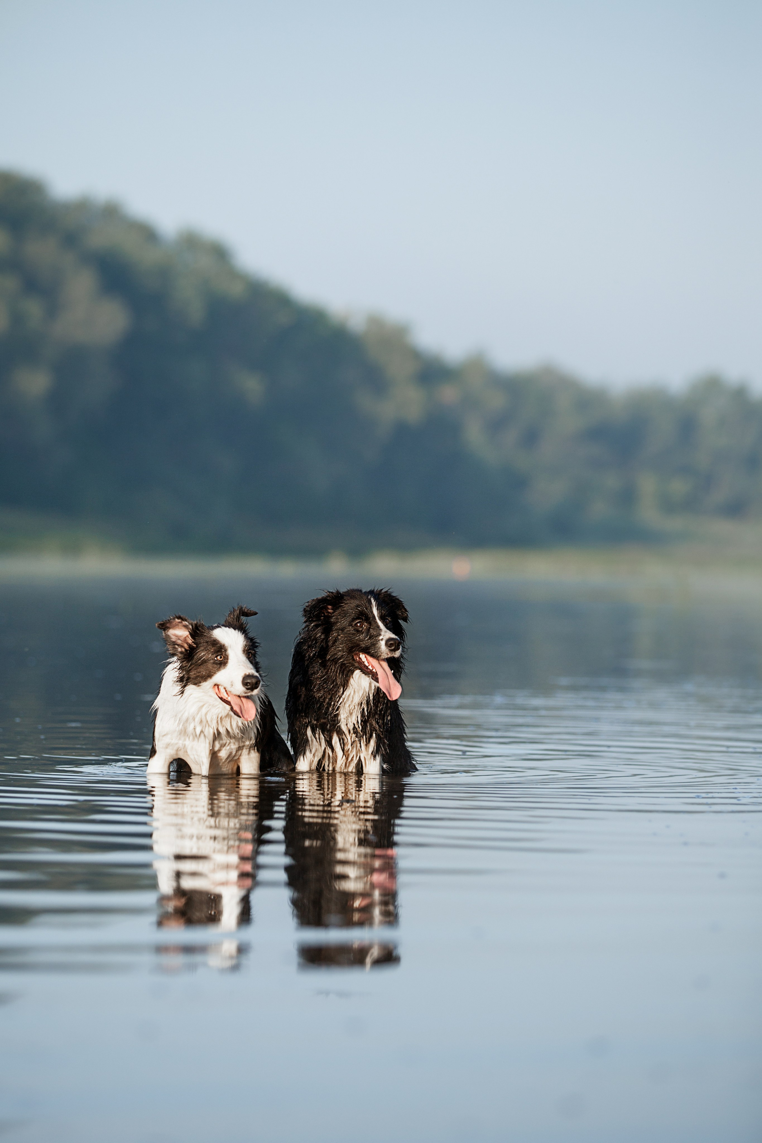 Сочный рассвет, на который решились. О нас