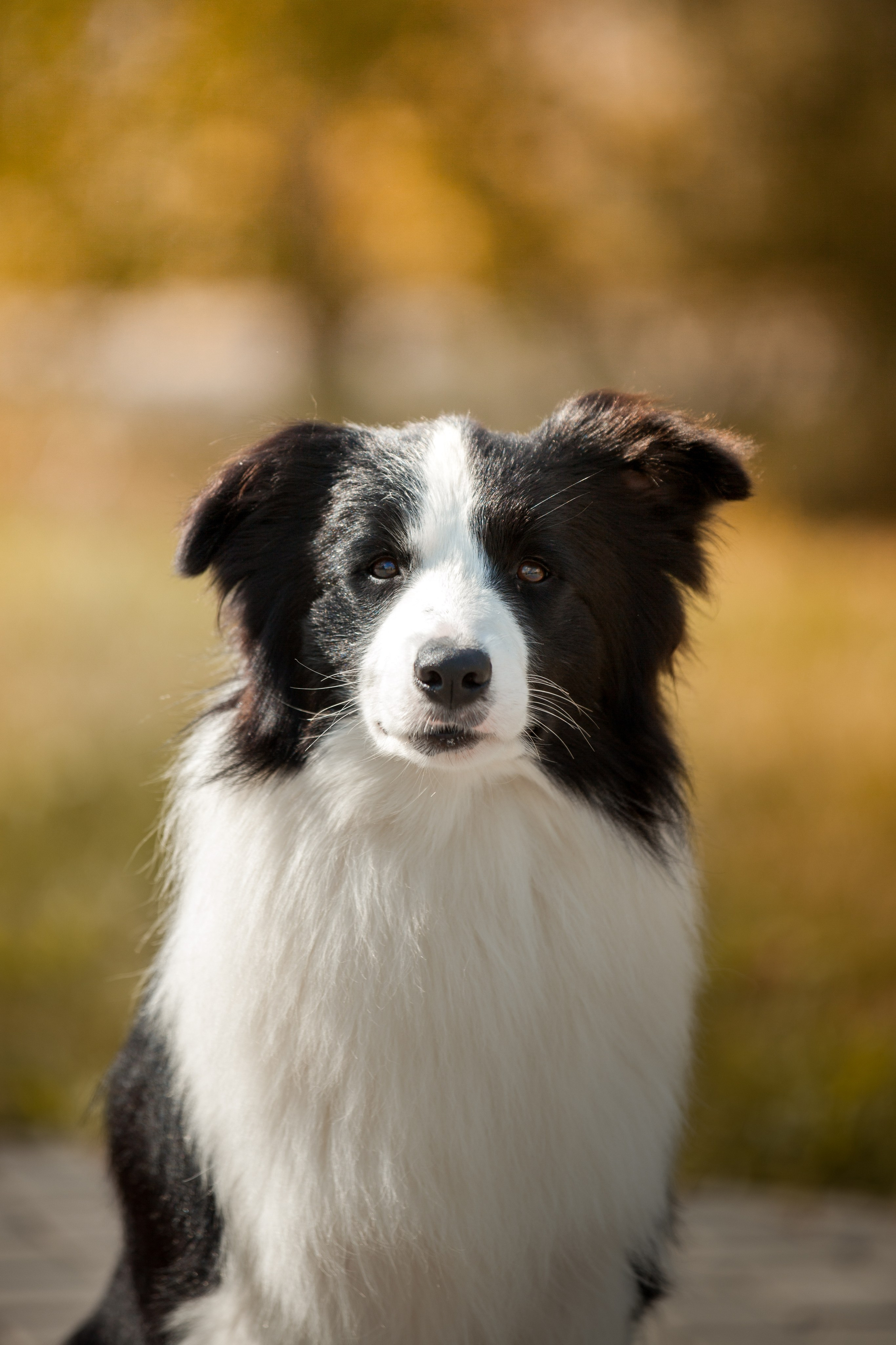 Это было в Новотроицке, было в 19. О нас