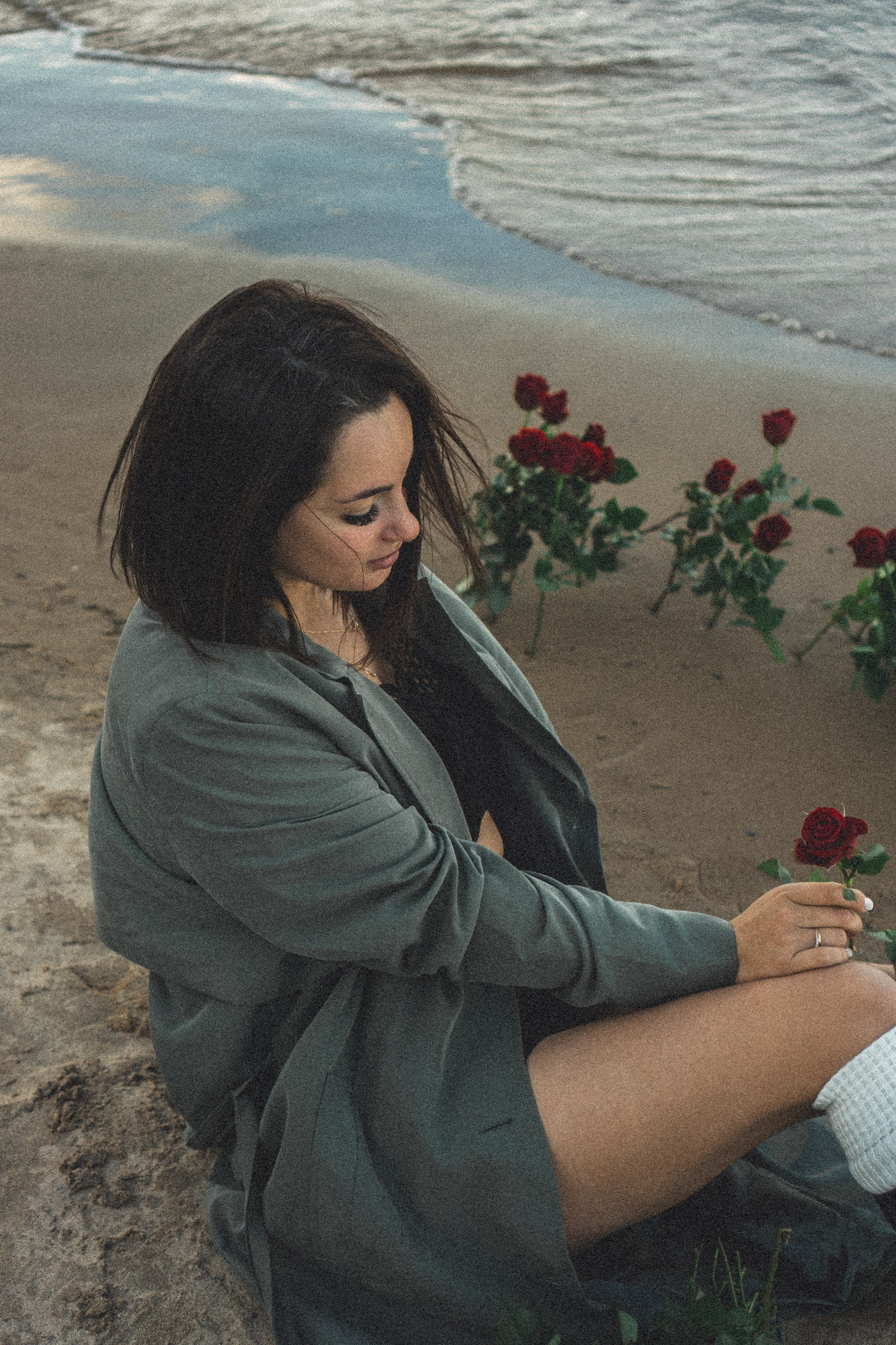 Розы. Профессиональный фотограф, Санкт-Петербург — Виктория Богомолова