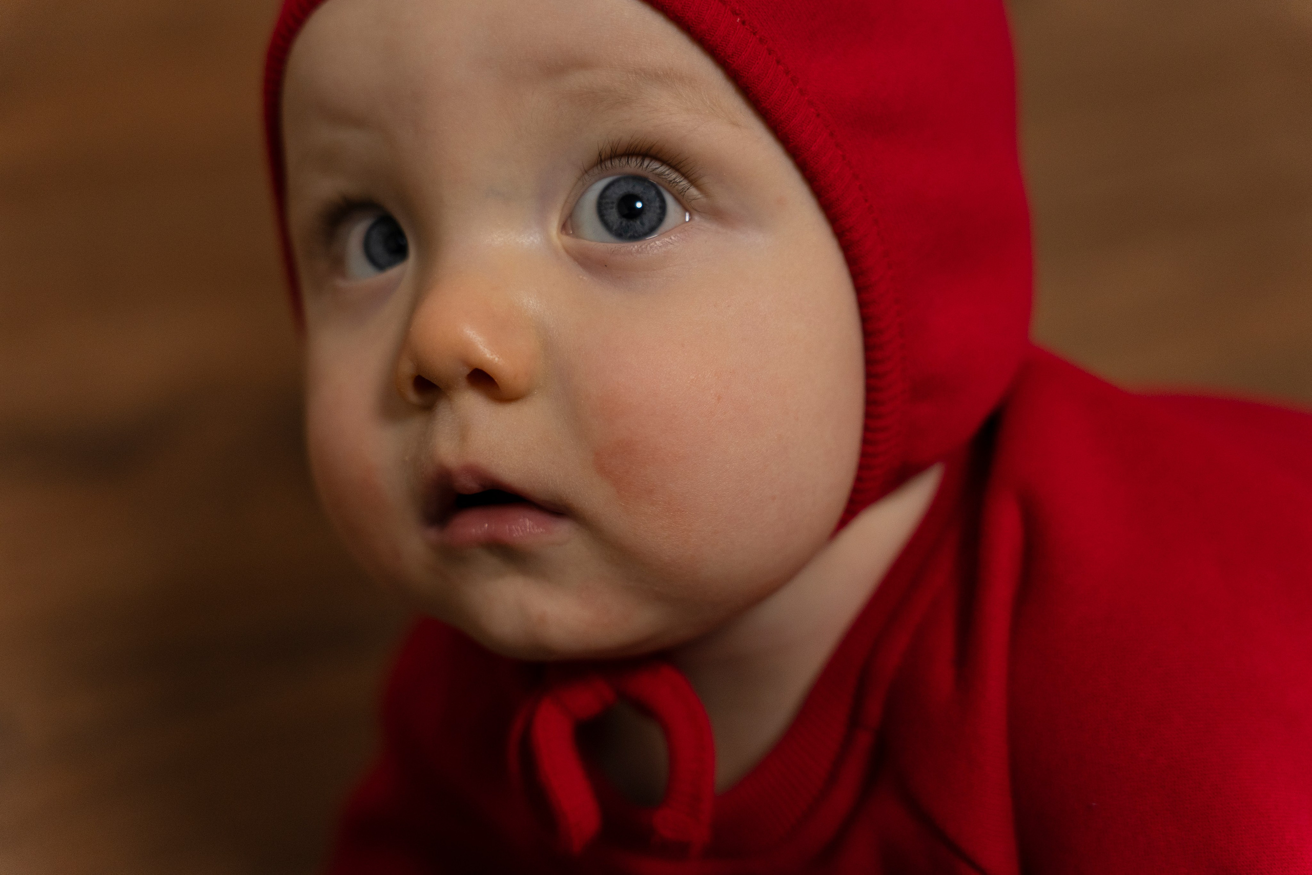 Новогодние тройняшки. Главная