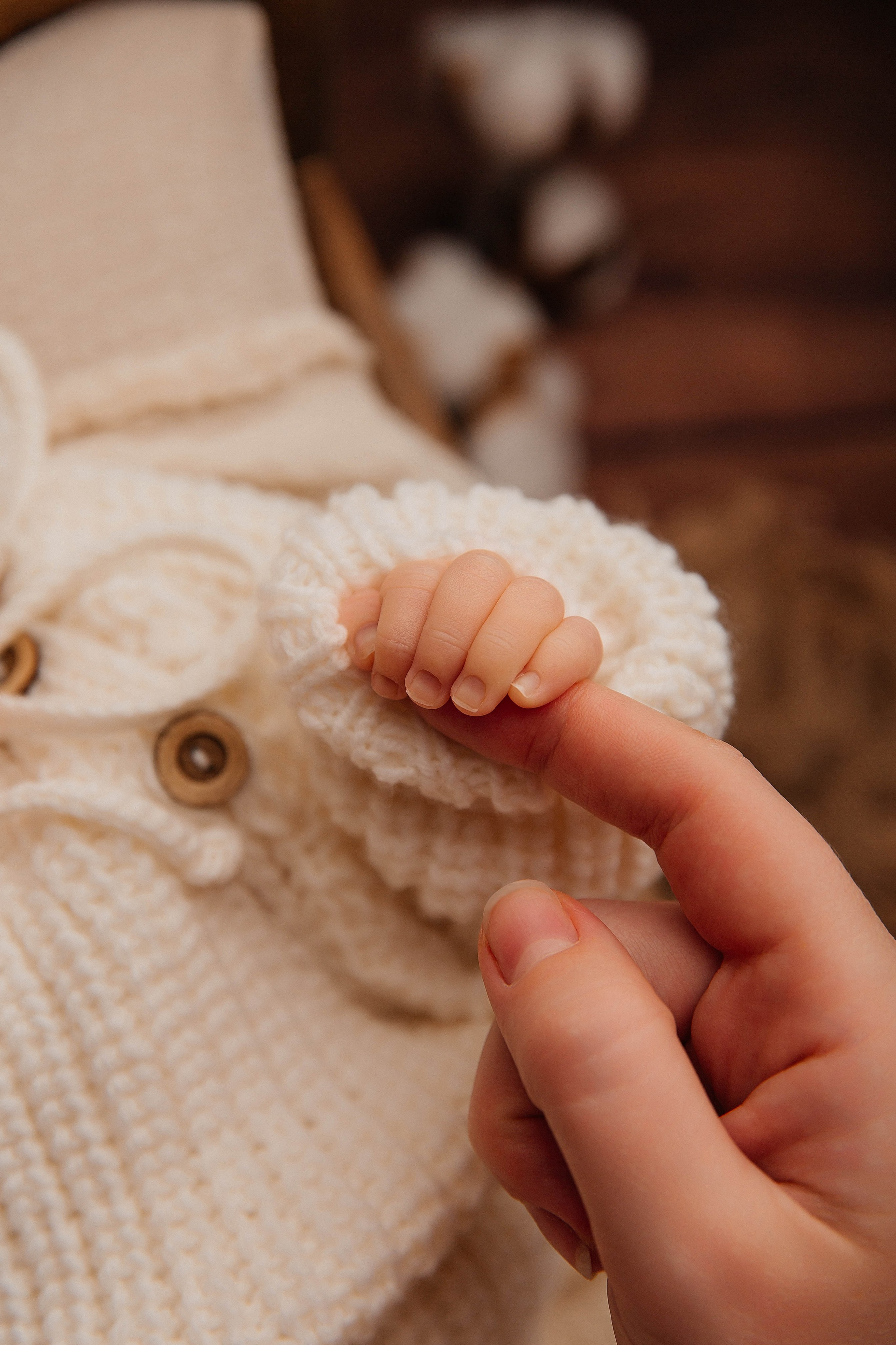 Лев. Фотограф новорожденных Тверь Диана Муляева