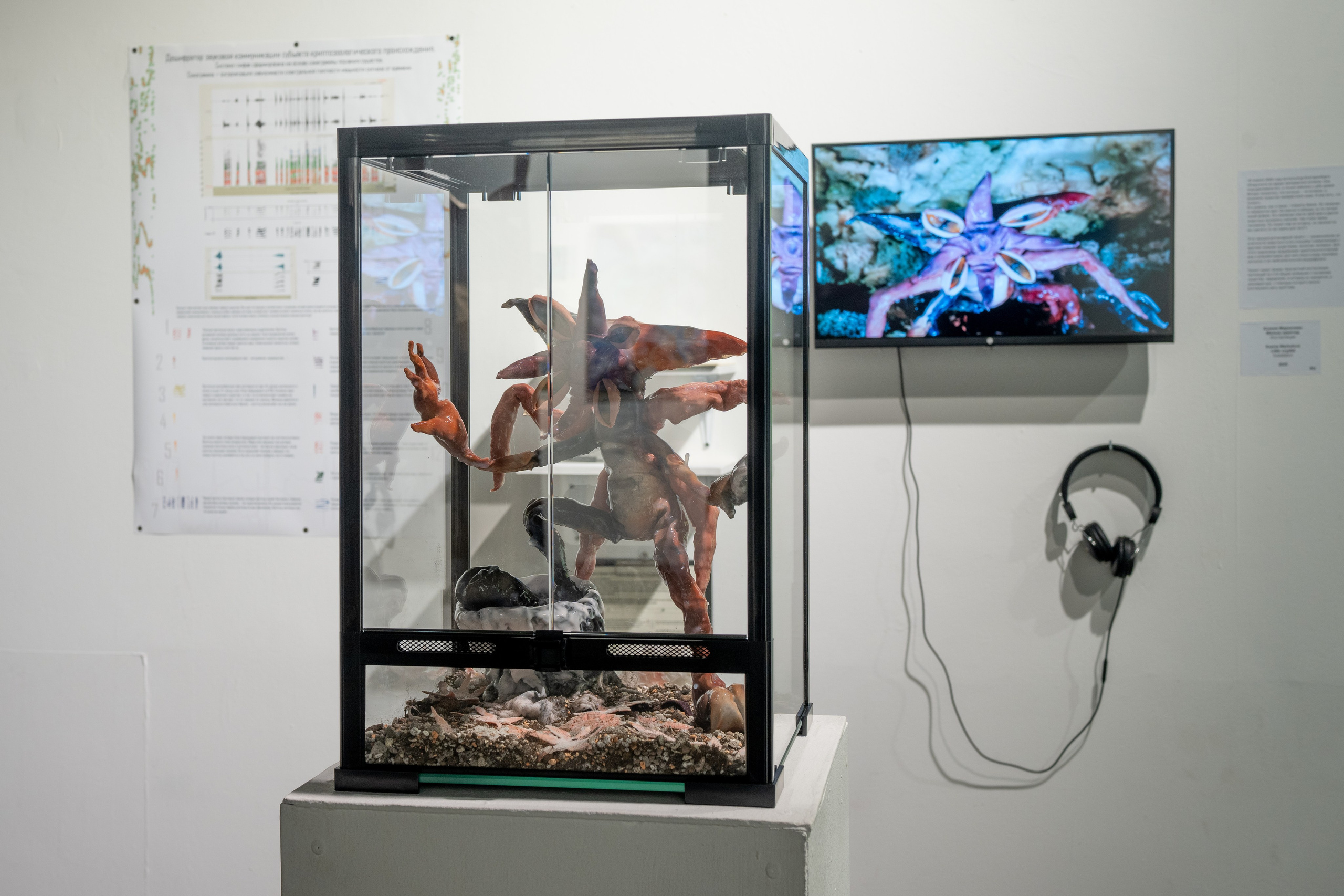 ''Little Cryptid'', 2025. Ksenia Markelova, multidisciplinary artist, Yekaterinburg