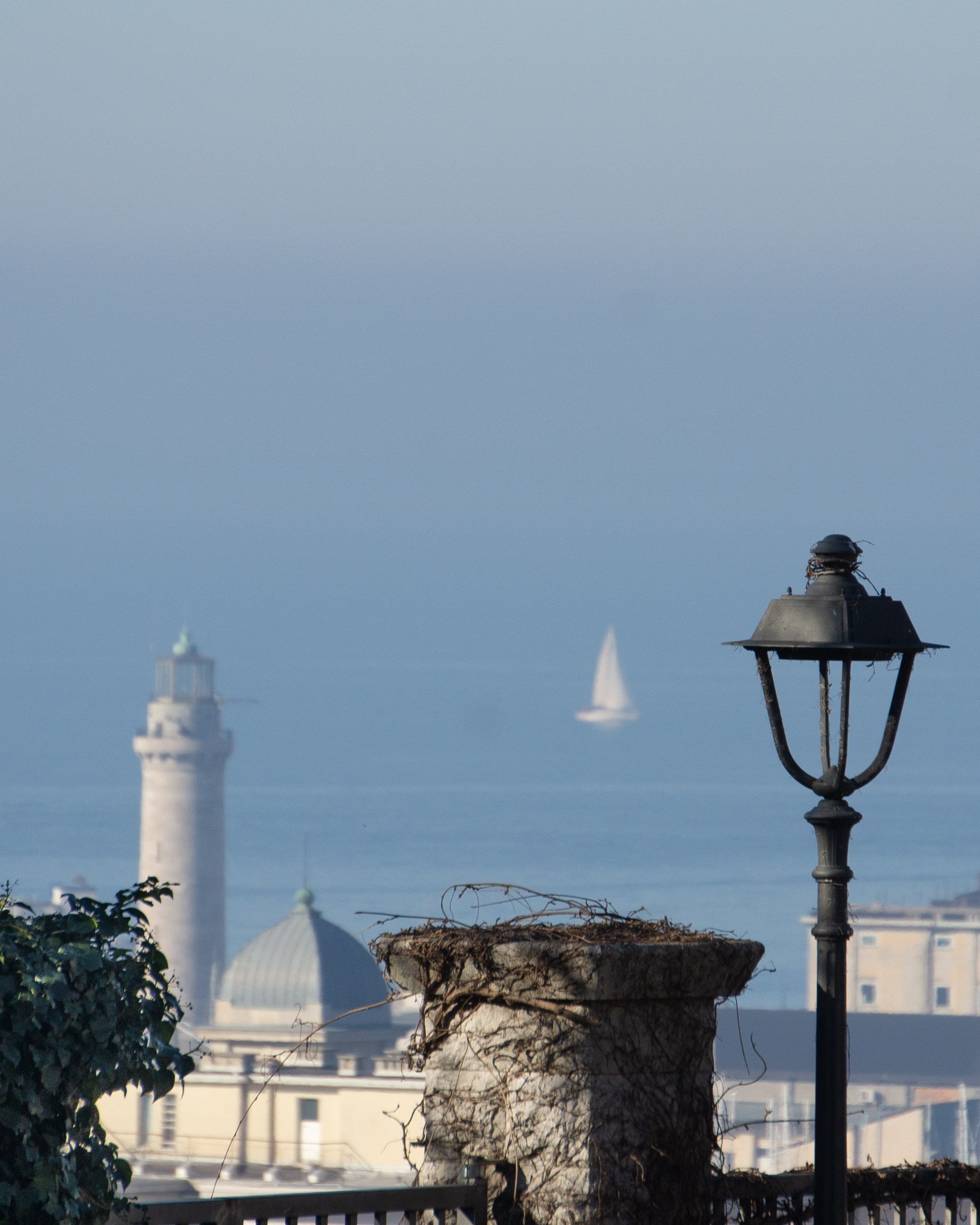 Lanterne di una citta. Fotografo Alina Imanbaeva Trieste e FVG