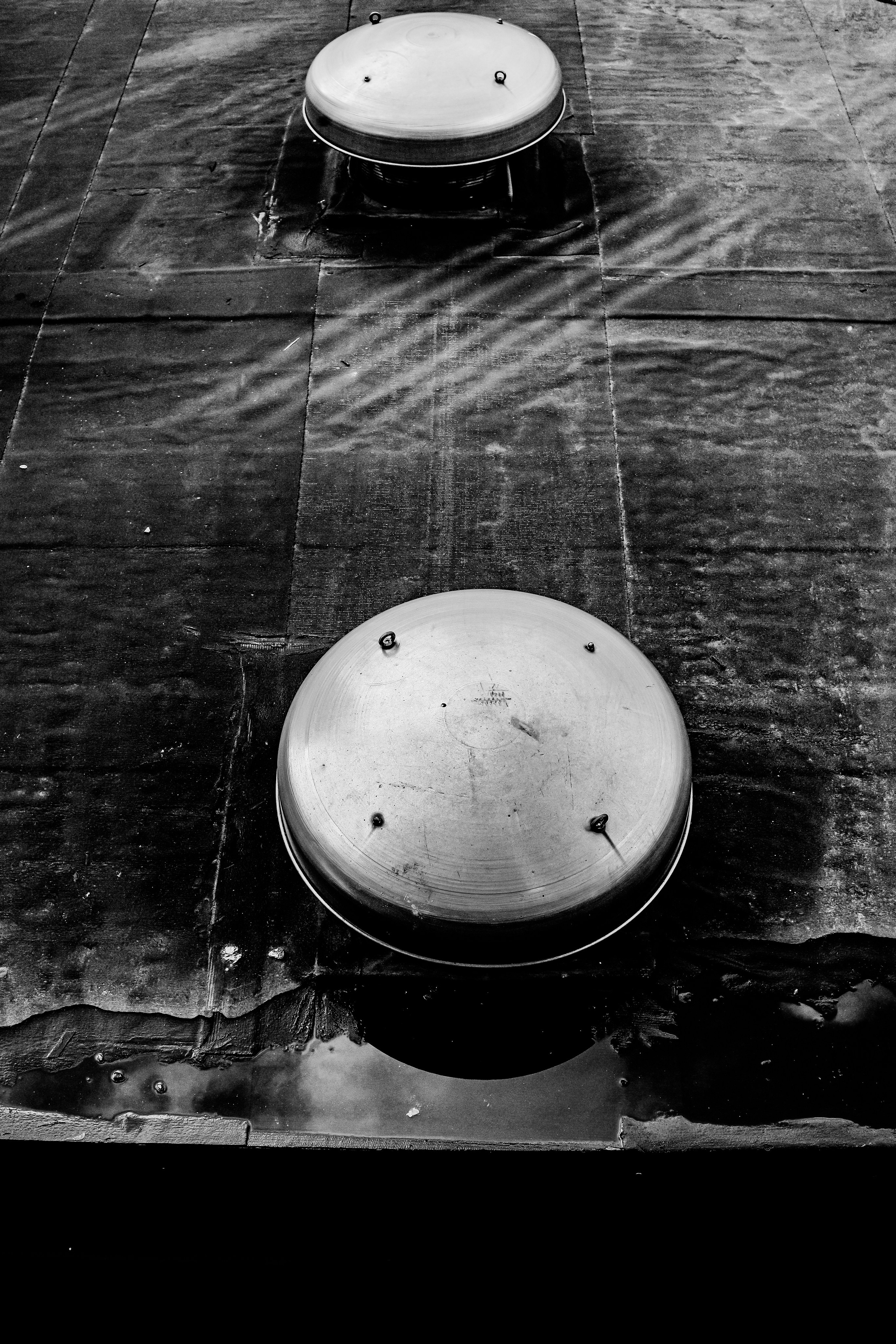 II. Стас Привалов