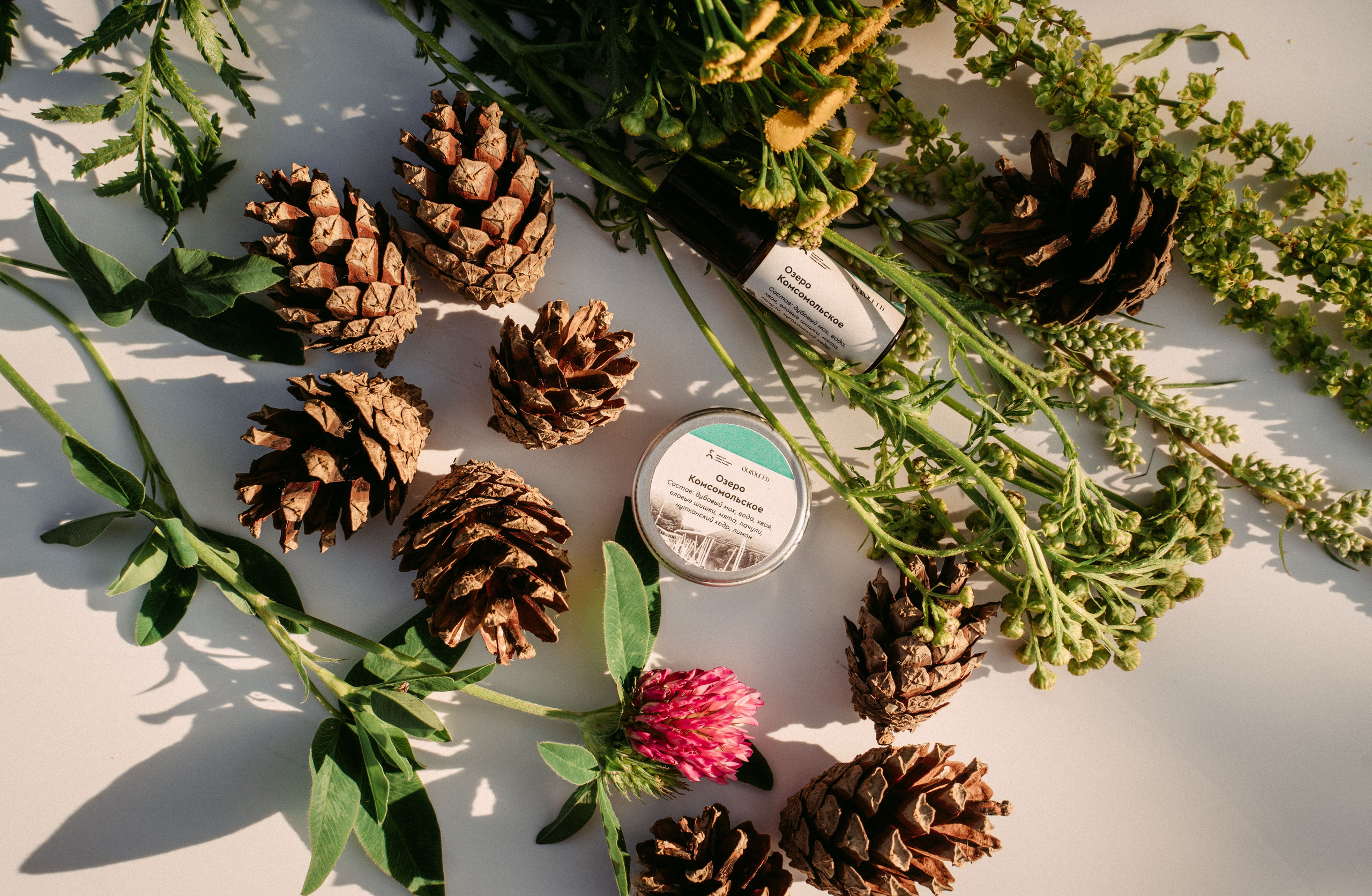 «Парки рядом» / мерч дирекции парков и скверов РТ. Саша Копылов, фотограф в Казани