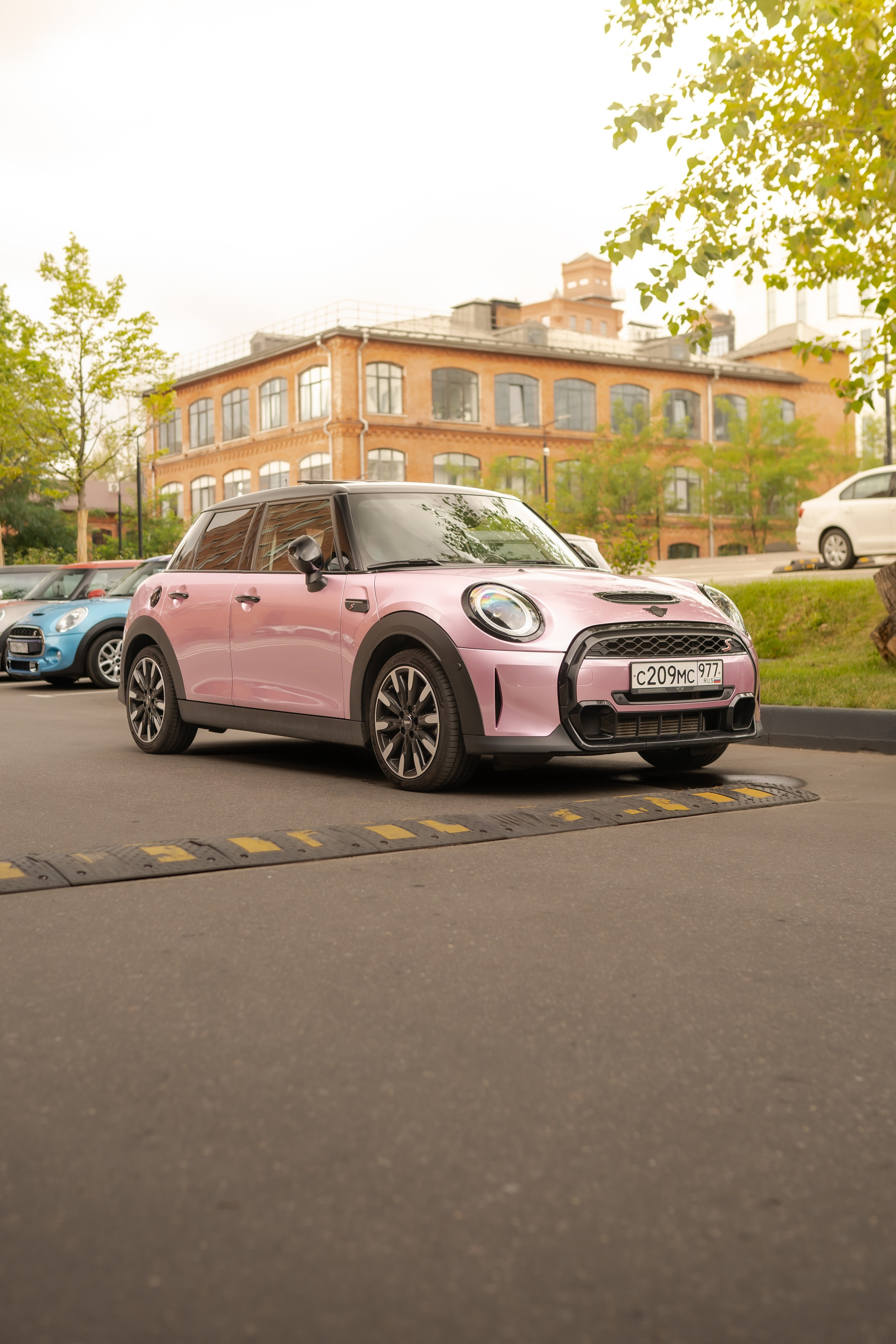 MINI Завтрак | 26.07.2026. Mirllaev